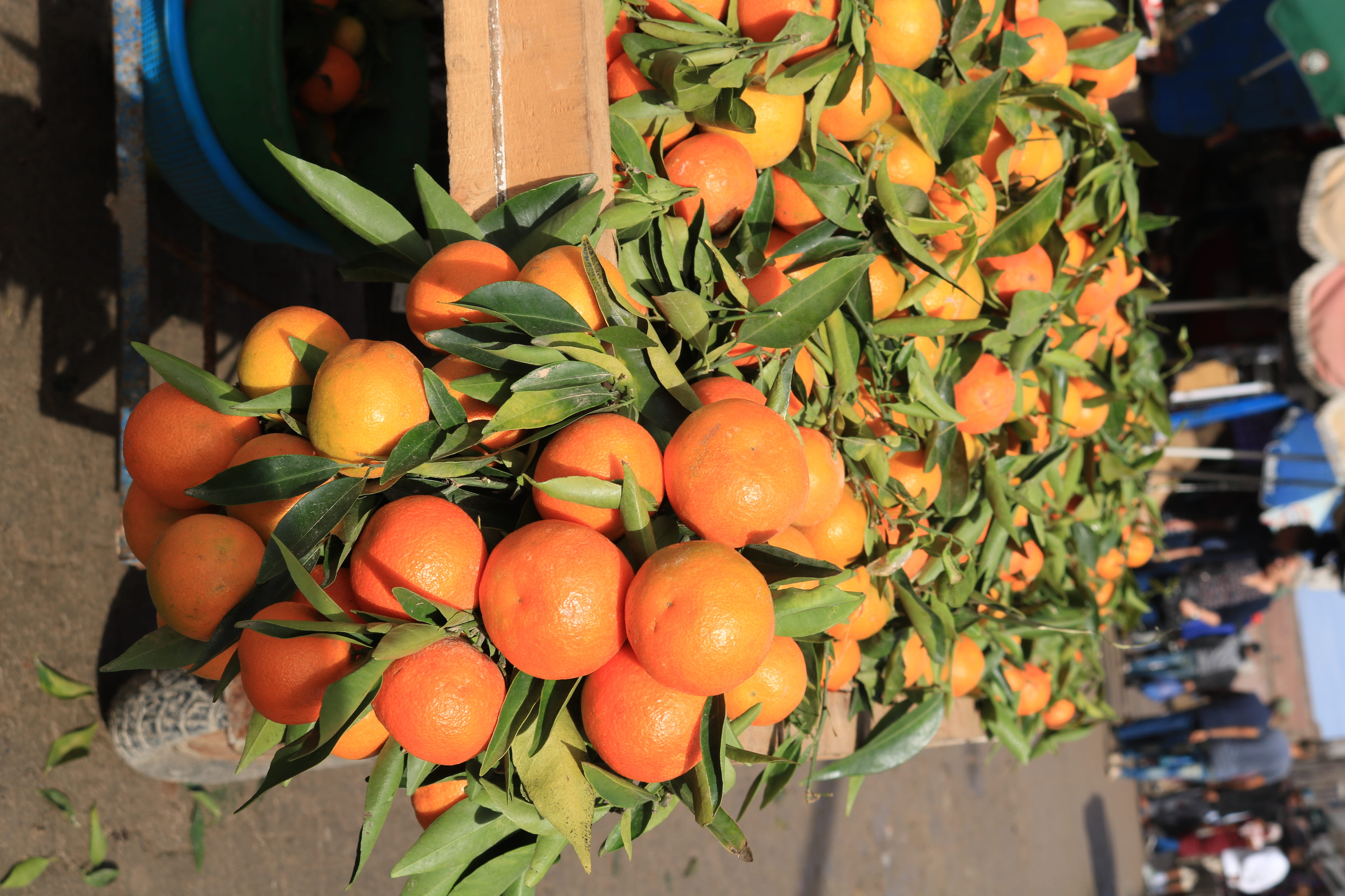 vegetable, orange color, market, sunlight, pomegranate, nature, produce, grapefruit, persimmon, food, freshness, plant part, person, no people, food and drink, HD Wallpaper
