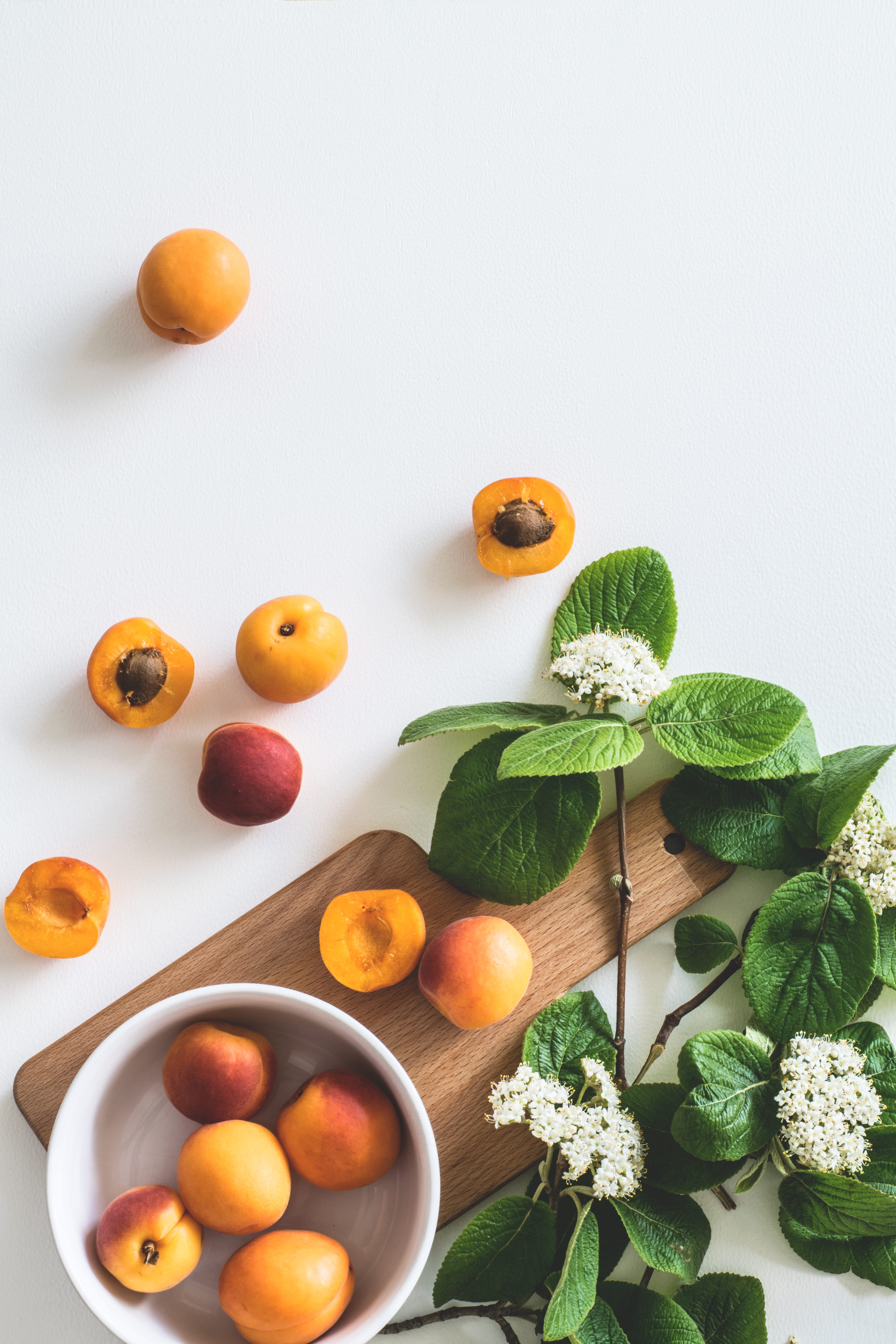 orange, vitamin, white background, orange - fruit, indoors, plant, leaf, healthy eating, branch, fruits, citrus fruit, vegetable, high angle view, background, Phone HD Wallpaper