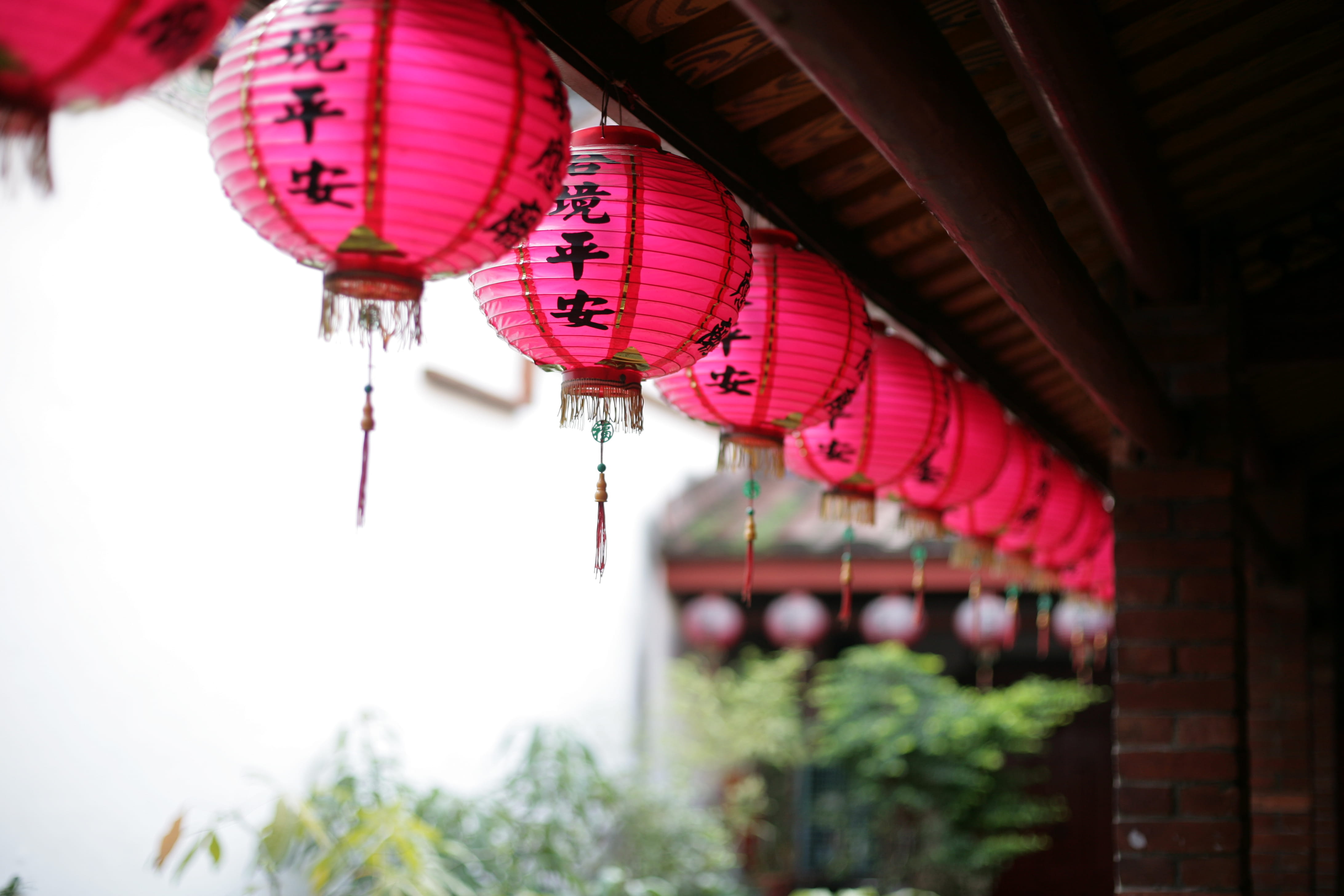 architecture, crowd, leisure activities, gym, focus on foreground, chinese new year, day, religion, pink, working out, restaurant, place of worship, chinese lantern festival, HD Wallpaper