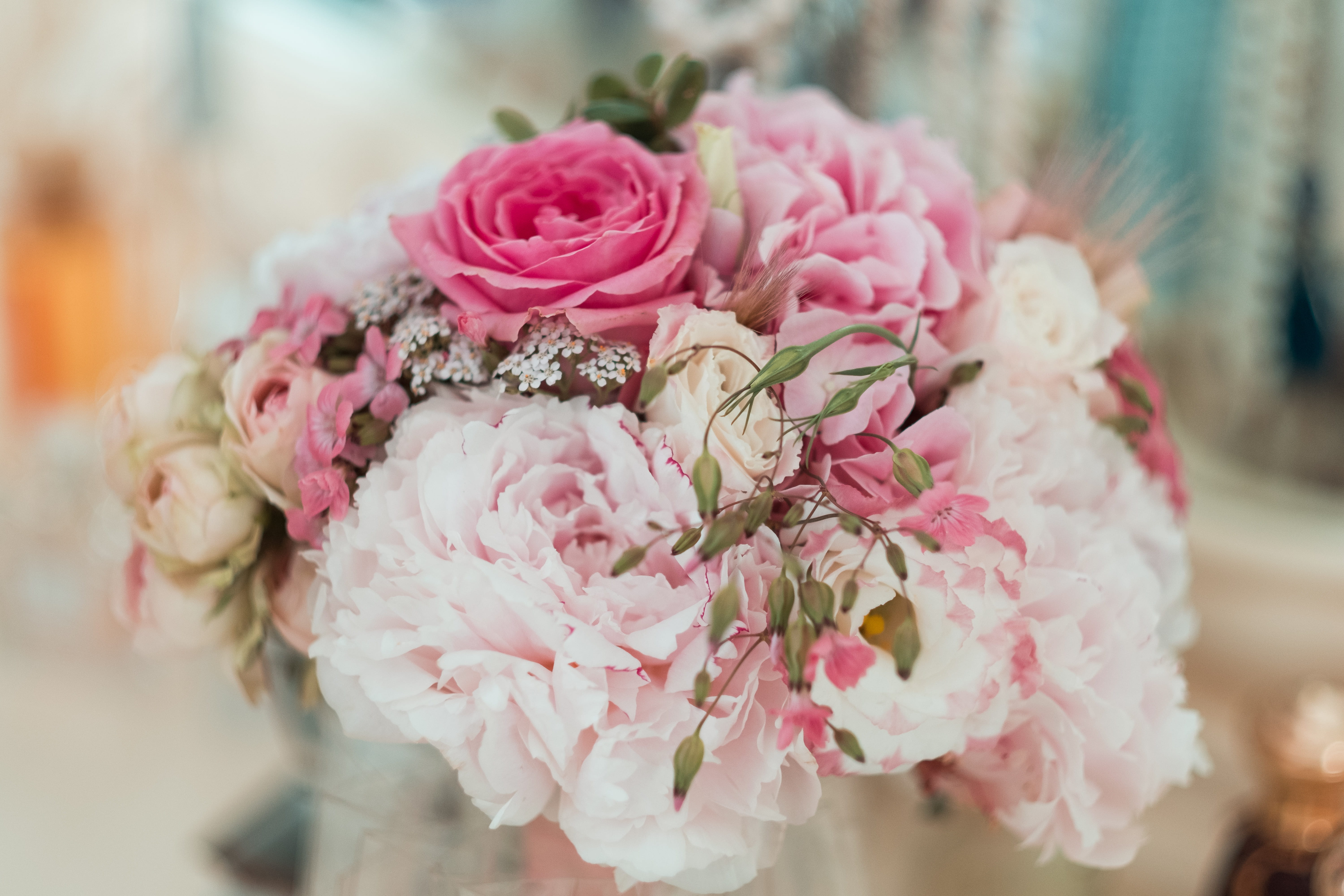 rose, italy, white, celebration, flower arrangement, graphics, nature, flower bouquet, selective, beauty in nature, decoration, shallow, wedding ceremony, HD Wallpaper