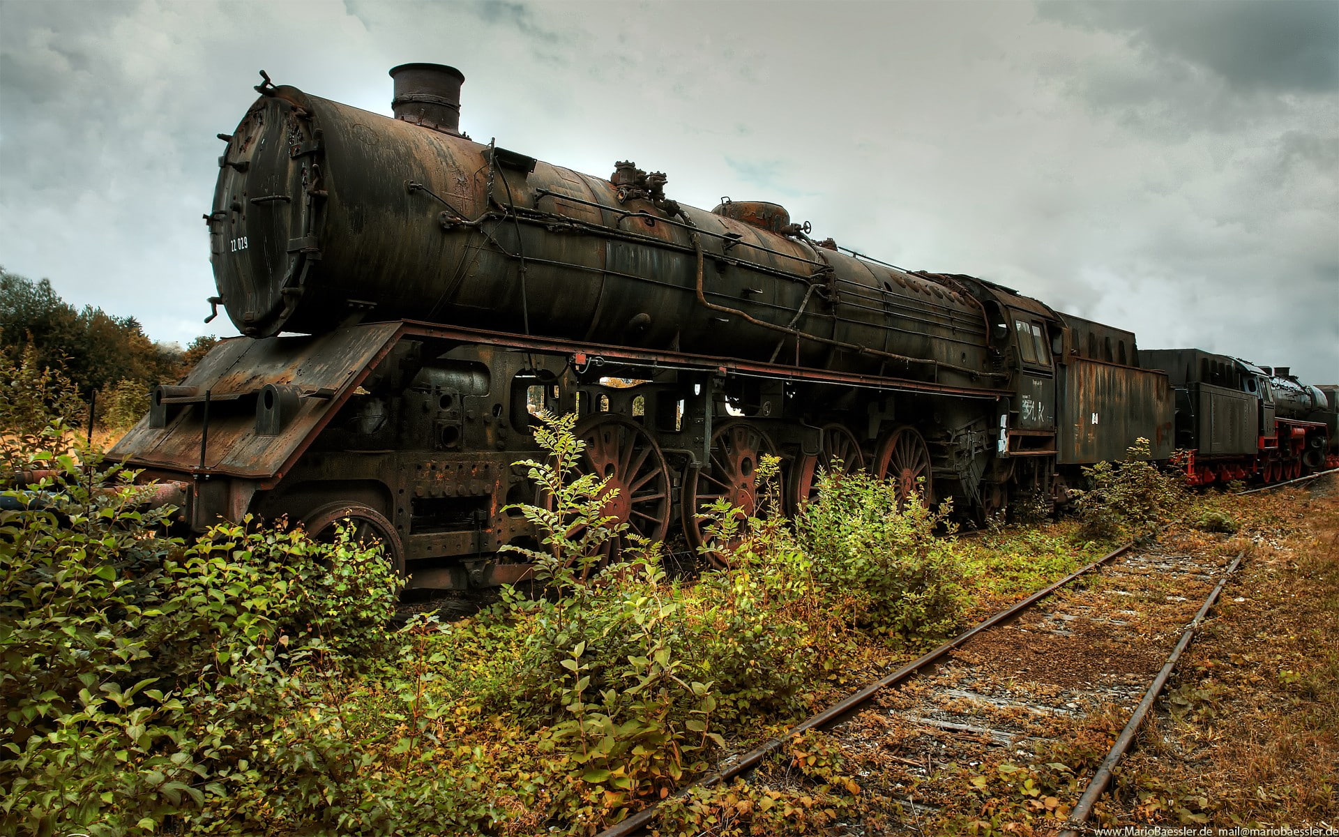 train, decline, vehicles, architecture, day, plant, abandoned, no people, trains, rusted, train - vehicle, ruined, Nature, tracks, mode of transportation, HD Wallpaper