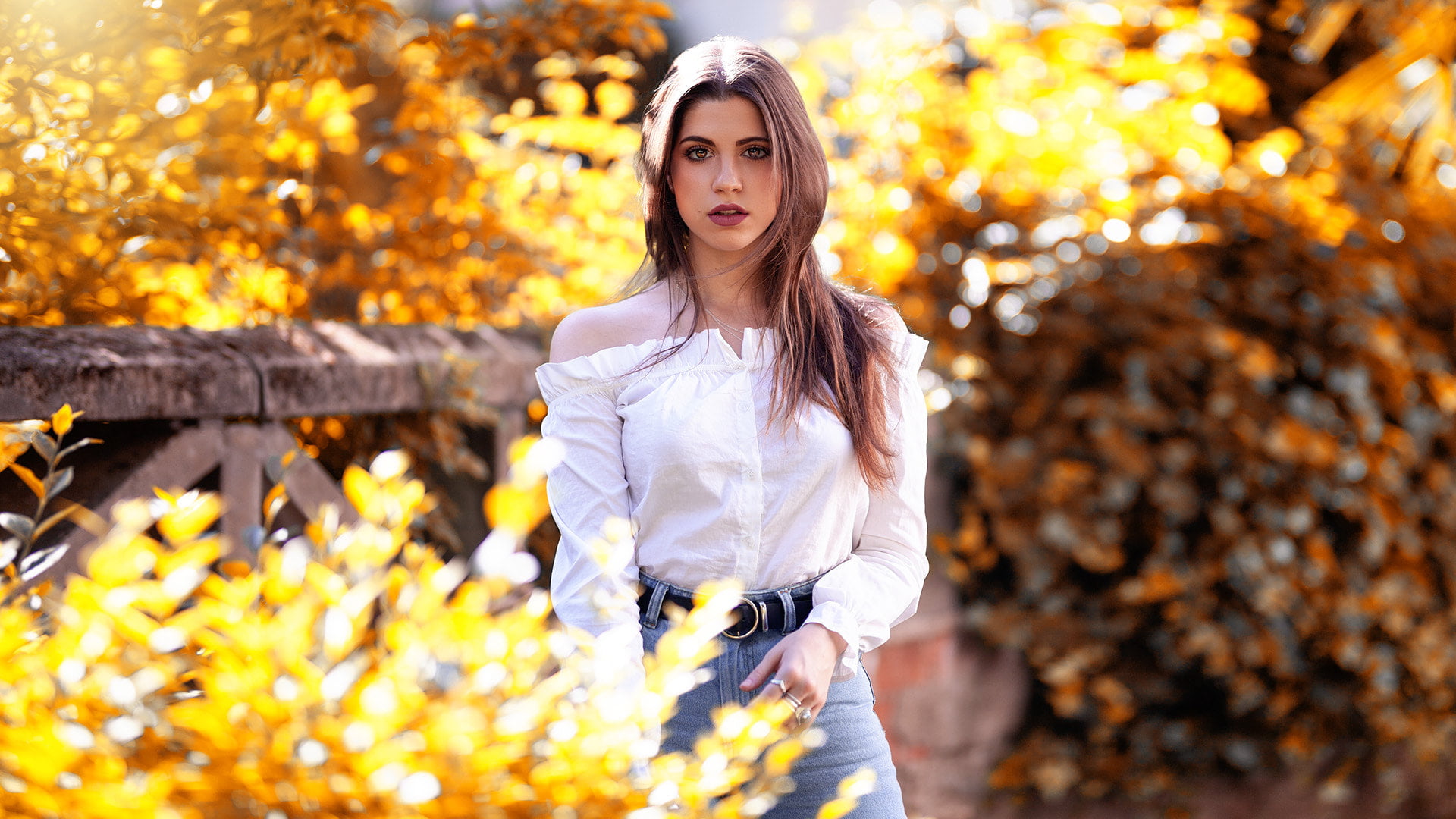jeans, women, Eric Vend, 1080P, brown eyes, white shirt, women outdoors, long hair, portrait, bare shoulders, leaves, face, brunette, sunlight, HD Wallpaper