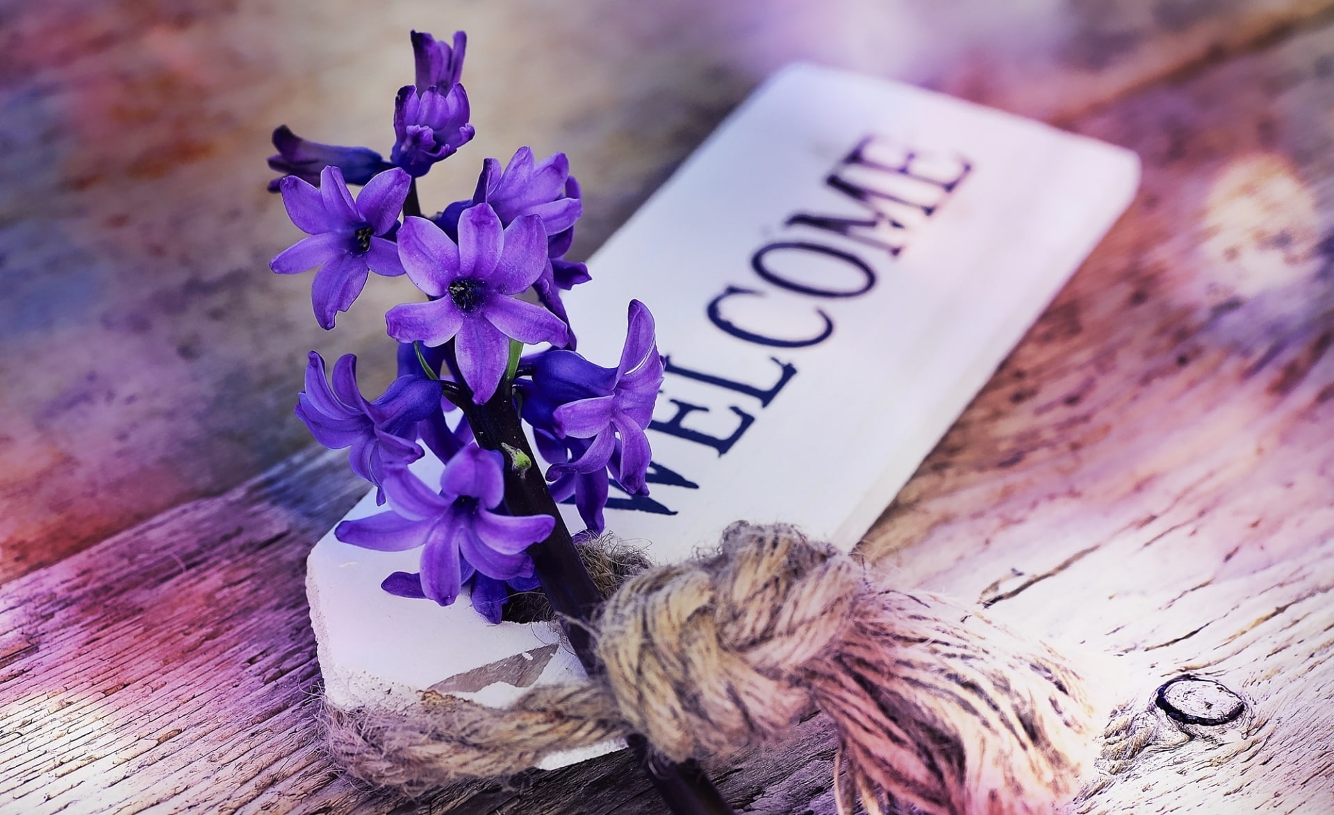 Springtime, pink color, Vintage, flowering plant, no people, Fragrant, fragrantflower, purple, beauty in nature, flower arrangement, Close, freshness, springflower, HD Wallpaper