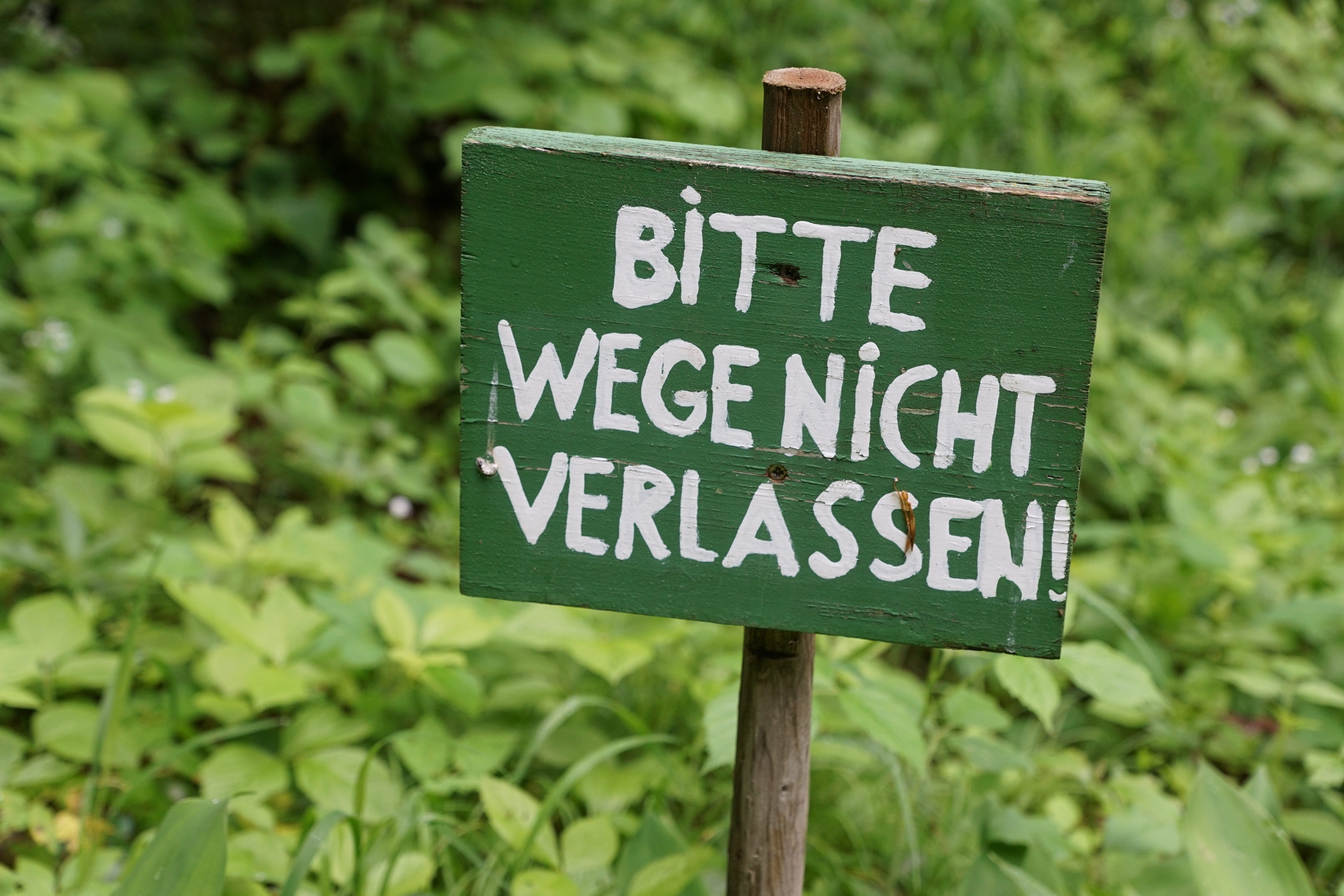 protect, message, forest, information sign, Nature, road Sign, green Color, no people, day, warning, meadow, communication, capital letter, away, green, HD Wallpaper