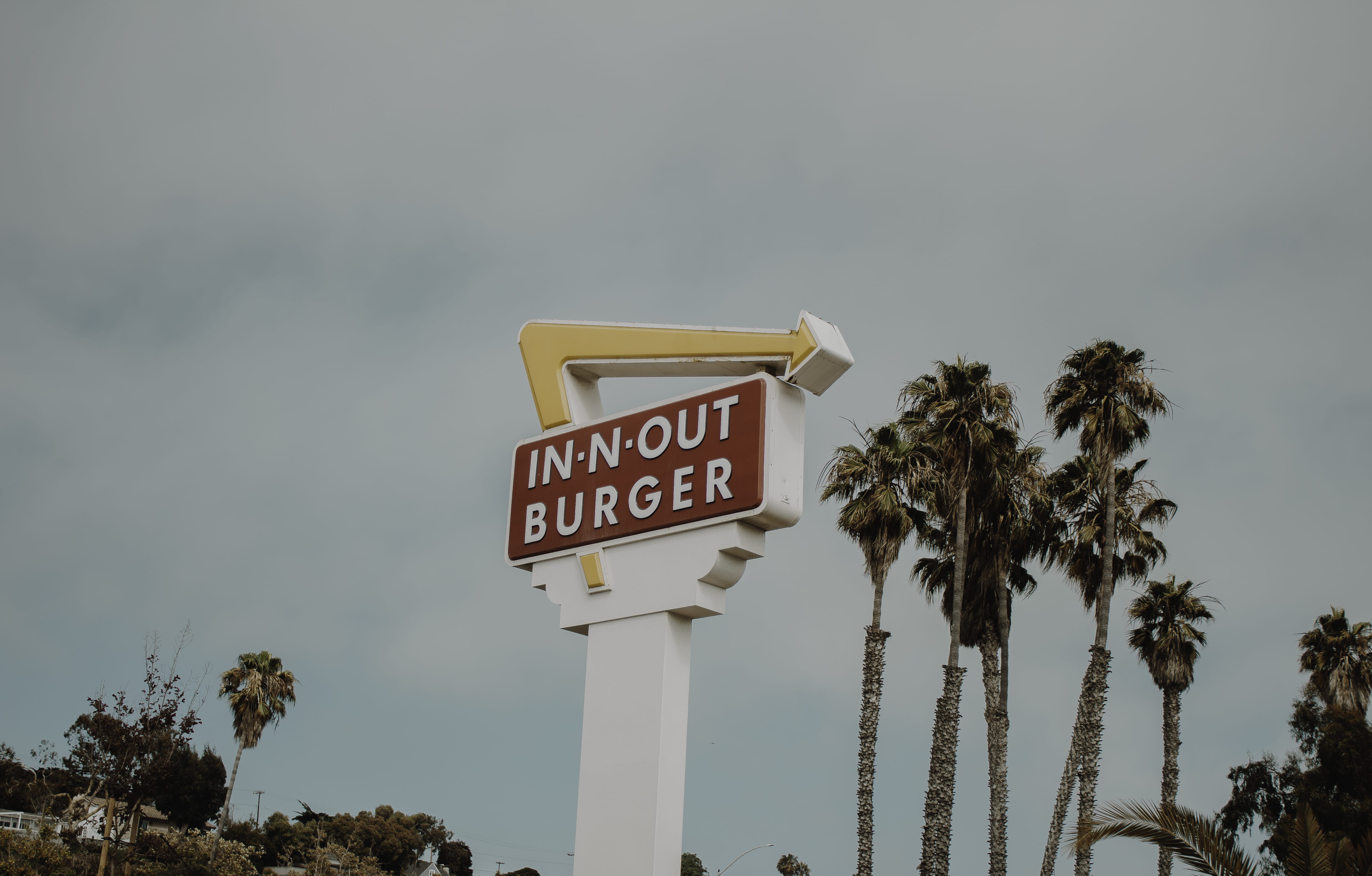 burger, daytime, in n out, western script, no people, nature, sky, tree, plant, day, palm tree, fast food, anuncio publicitario, tropical climate, anuncio, HD Wallpaper