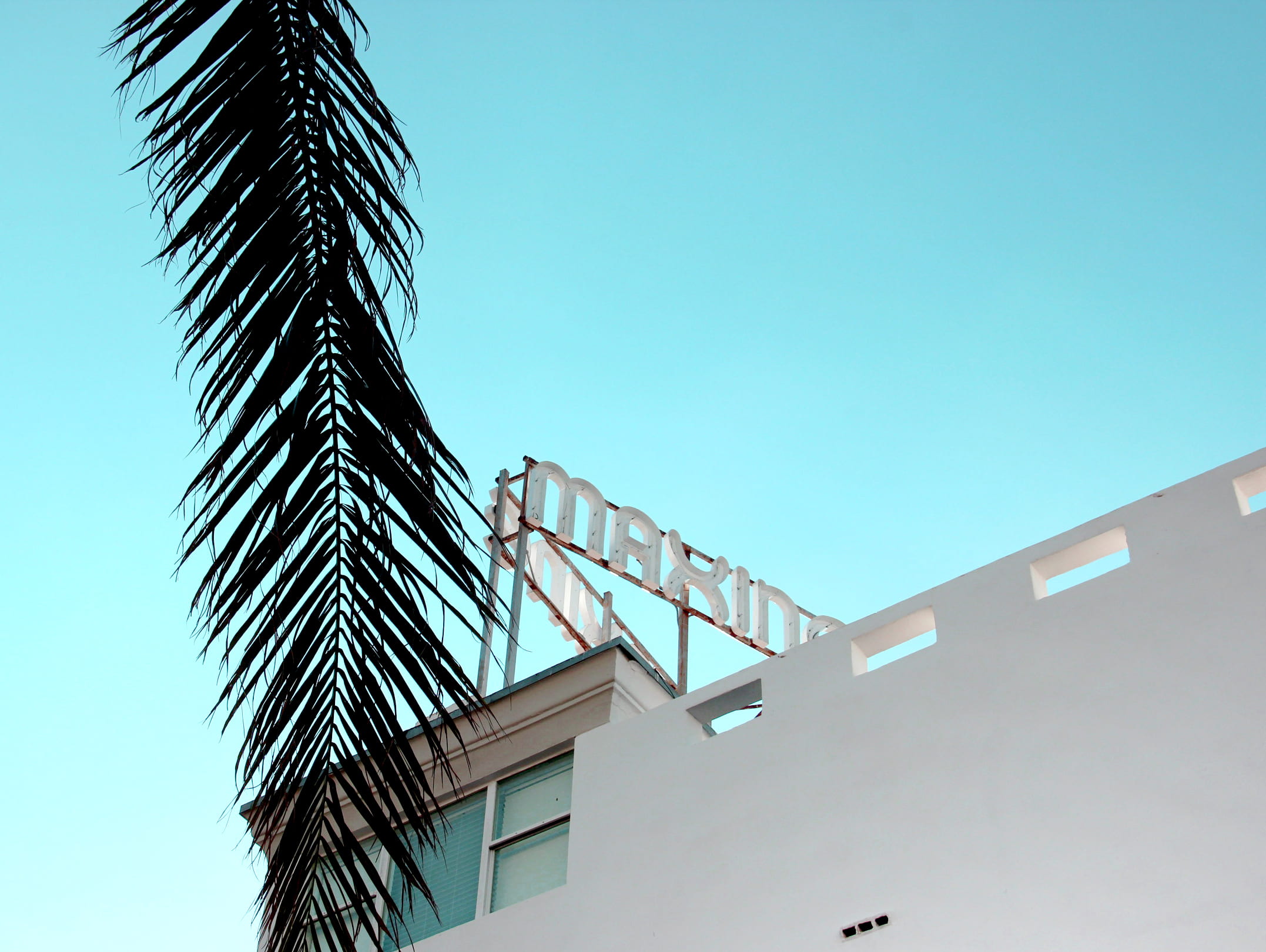 sunlight, nature, low angle view, built structure, angle, day, palm, concrete, sky, tree, outdoors, construction industry, blue, palm tree, text, clear sky, HD Wallpaper