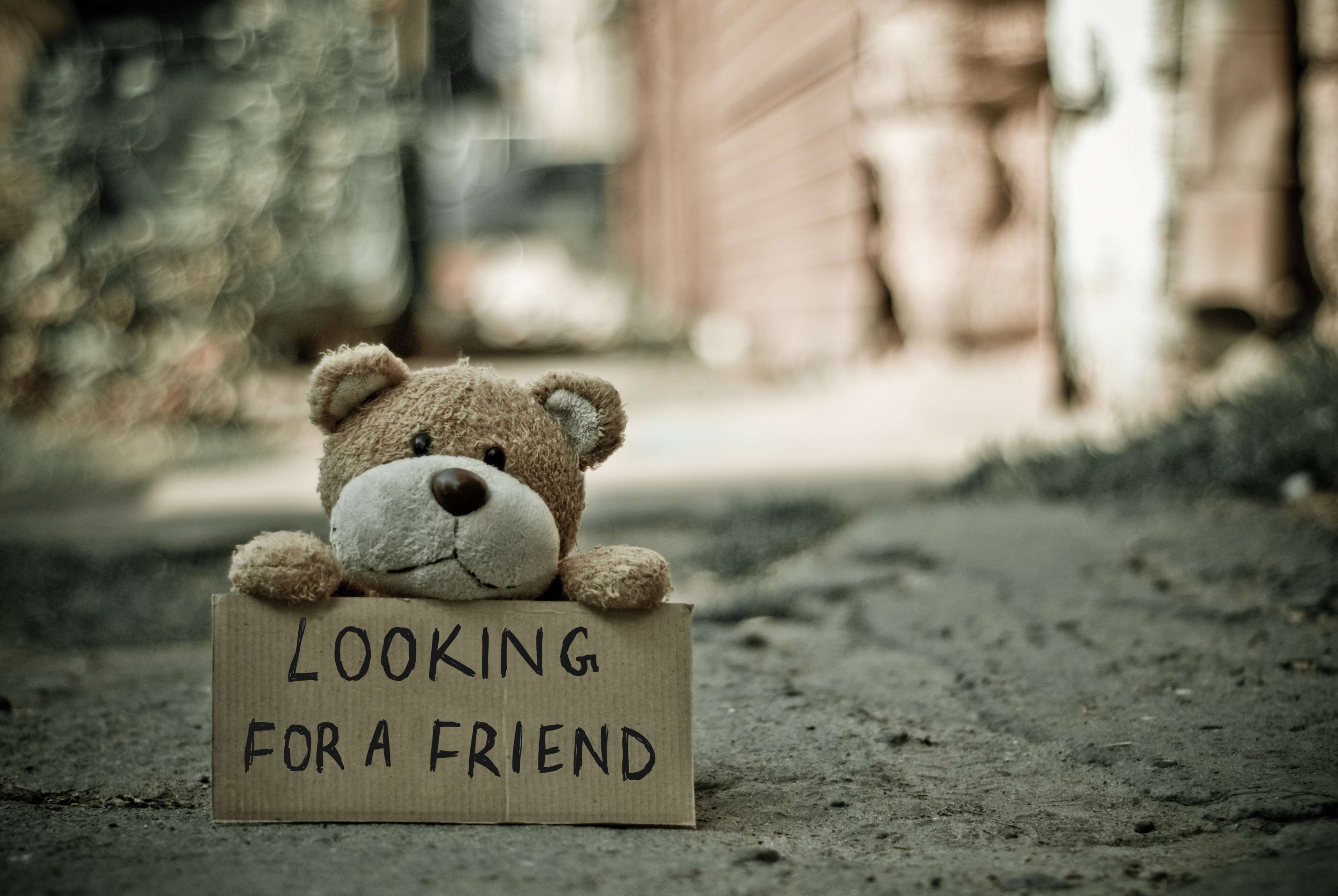 emotion, teddy bear, toy, representation, architecture, lonely, message, western script, street, communication, no people, 4K, depression - sadness, love, HD Wallpaper