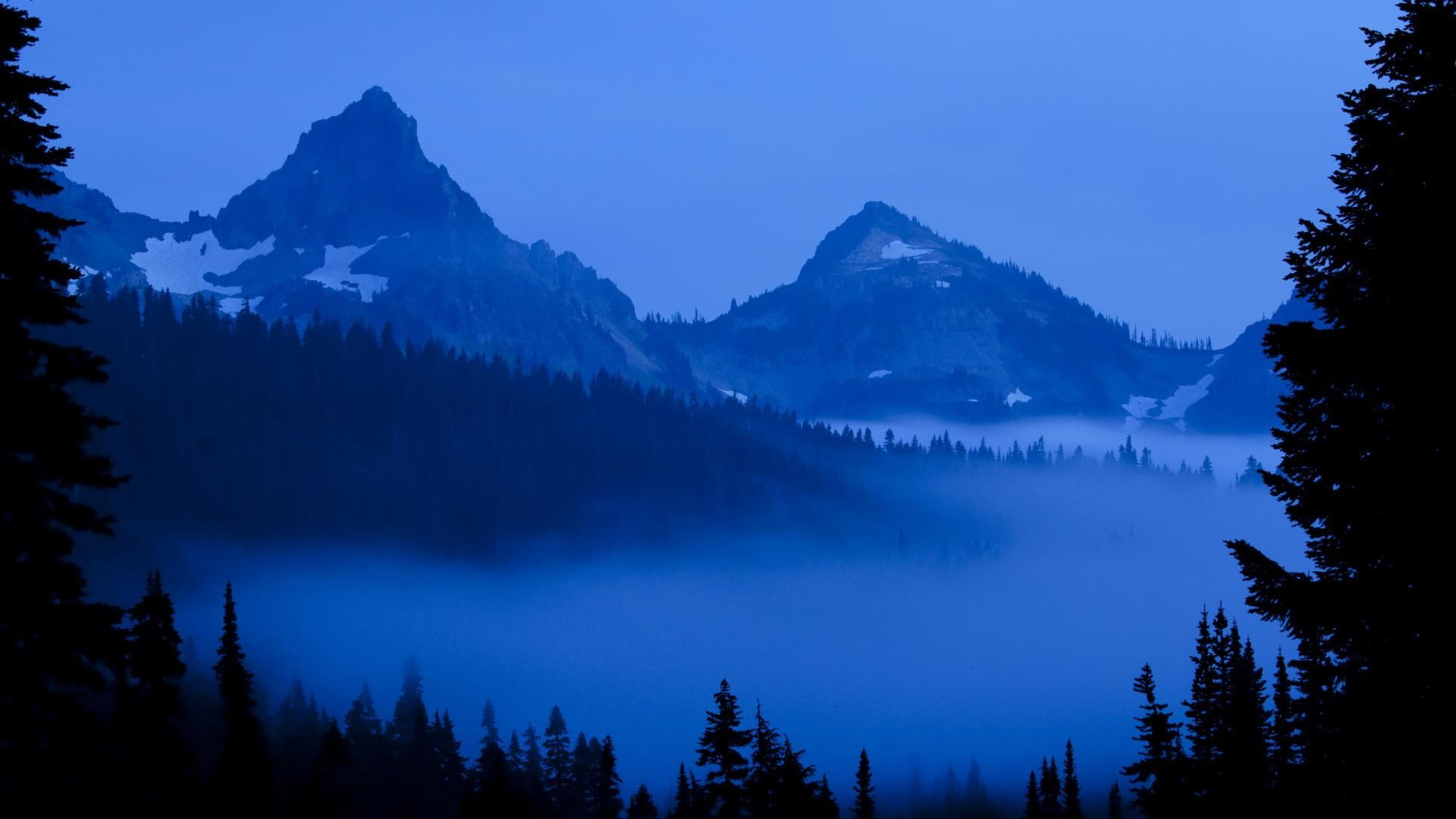 nature and landscapes, majestic, dusk, mountains, valley, rainier, mount, 1080P, forest, HD Wallpaper