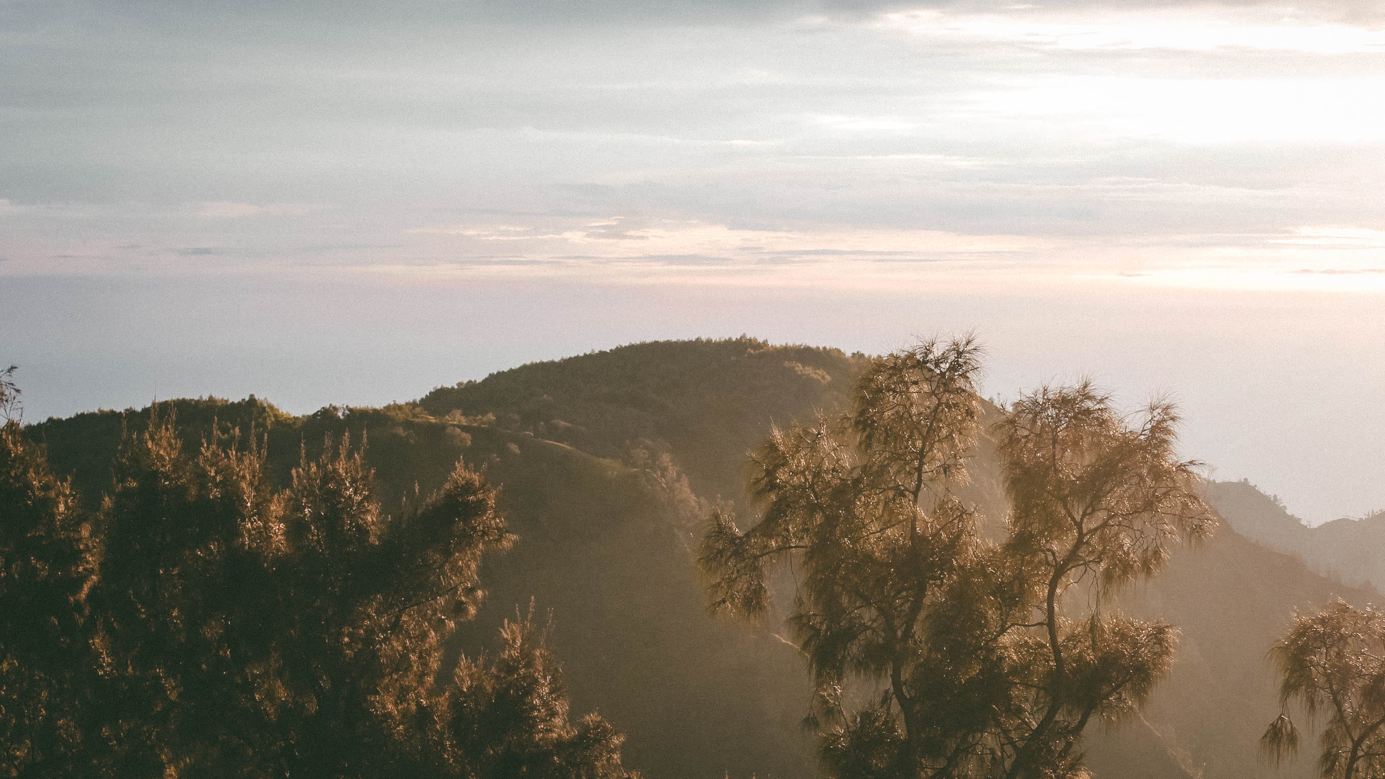 clound, scenics - nature, mountain, hill, beauty in nature, plant, sun, 2K, pine tree, tall, view, sky, majestic, outdoors, daytime, travel destinations, HD Wallpaper