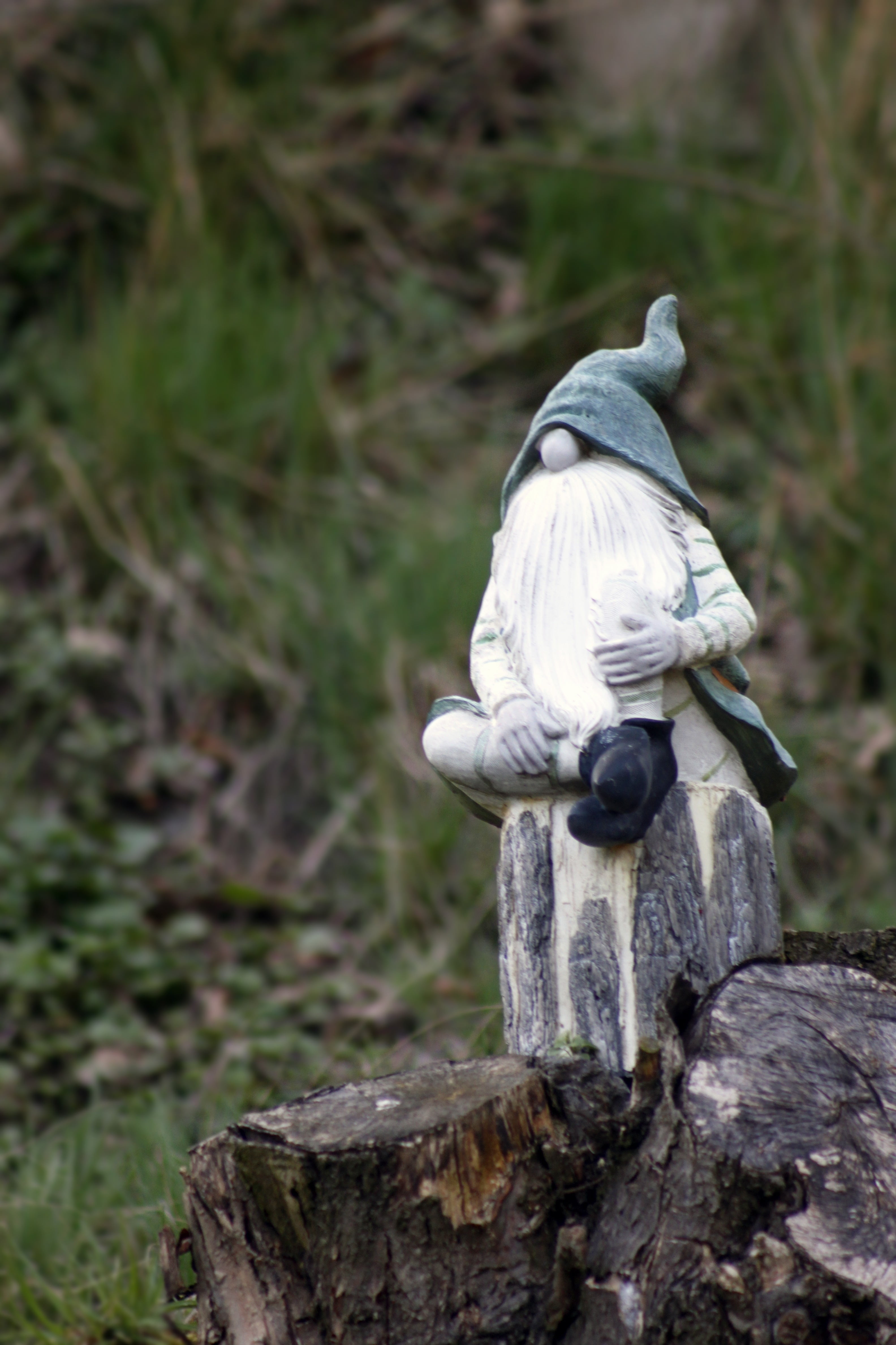 nose, hat, bart, animals in the wild, dwarf, no people, dwarfs, funny, eleven, land, garden gnome, 4K, animal themes, stone figure, one animal, sad, mushroom, Phone HD Wallpaper