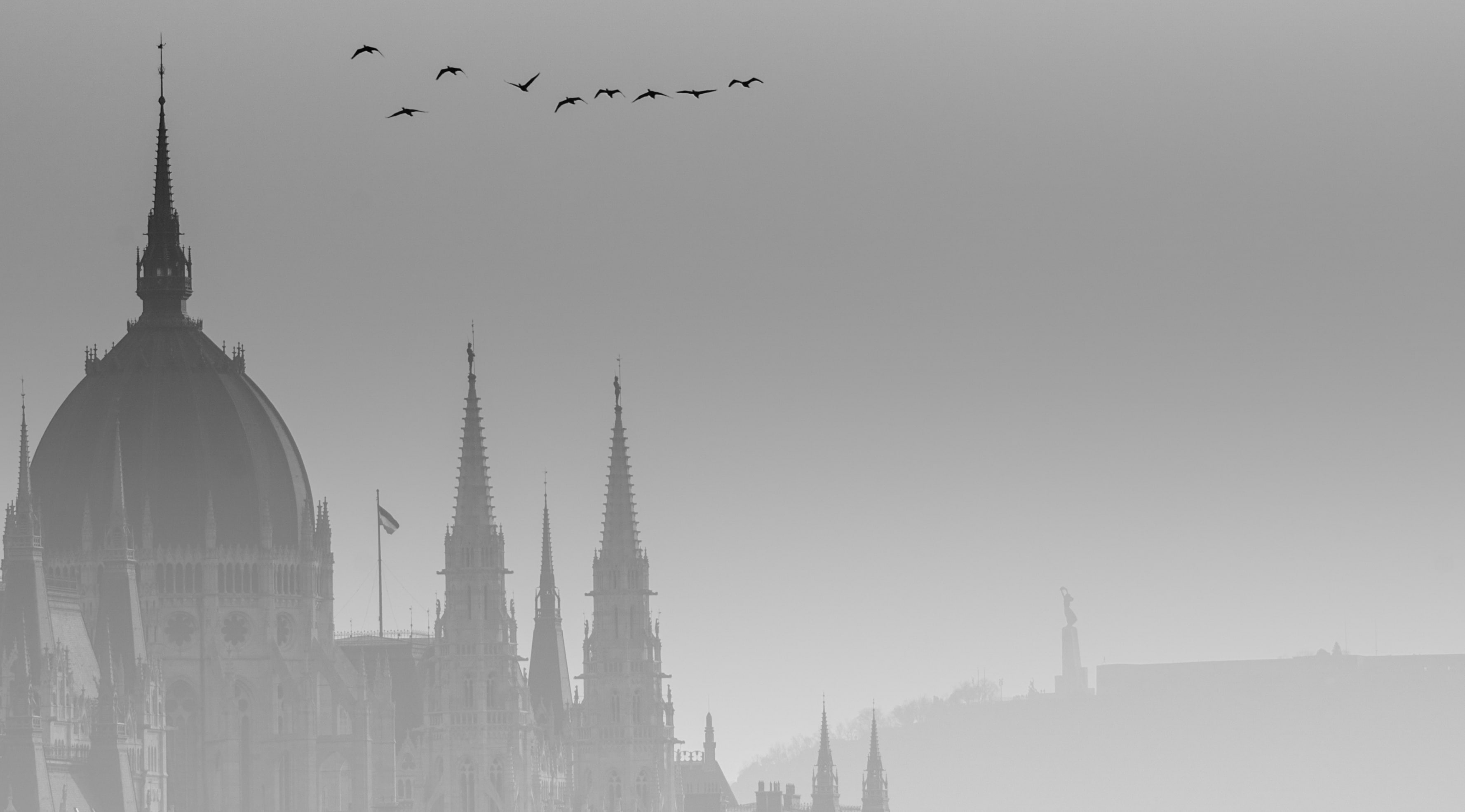 religion, vertebrate, misty, architecture, spire, Black and White, group of animals, animal wildlife, spirituality, nature, flock of birds, city, beautiful, HD Wallpaper