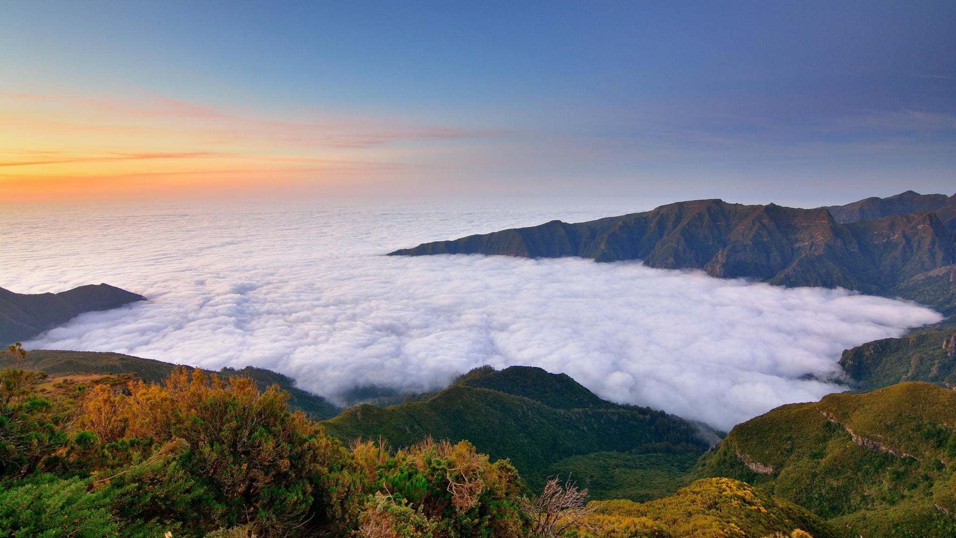 no people, tranquility, beauty in nature, misty, travel destinations, photography, tree, mountain range, plant, nature, sky, 1080P, environment, mountain, HD Wallpaper