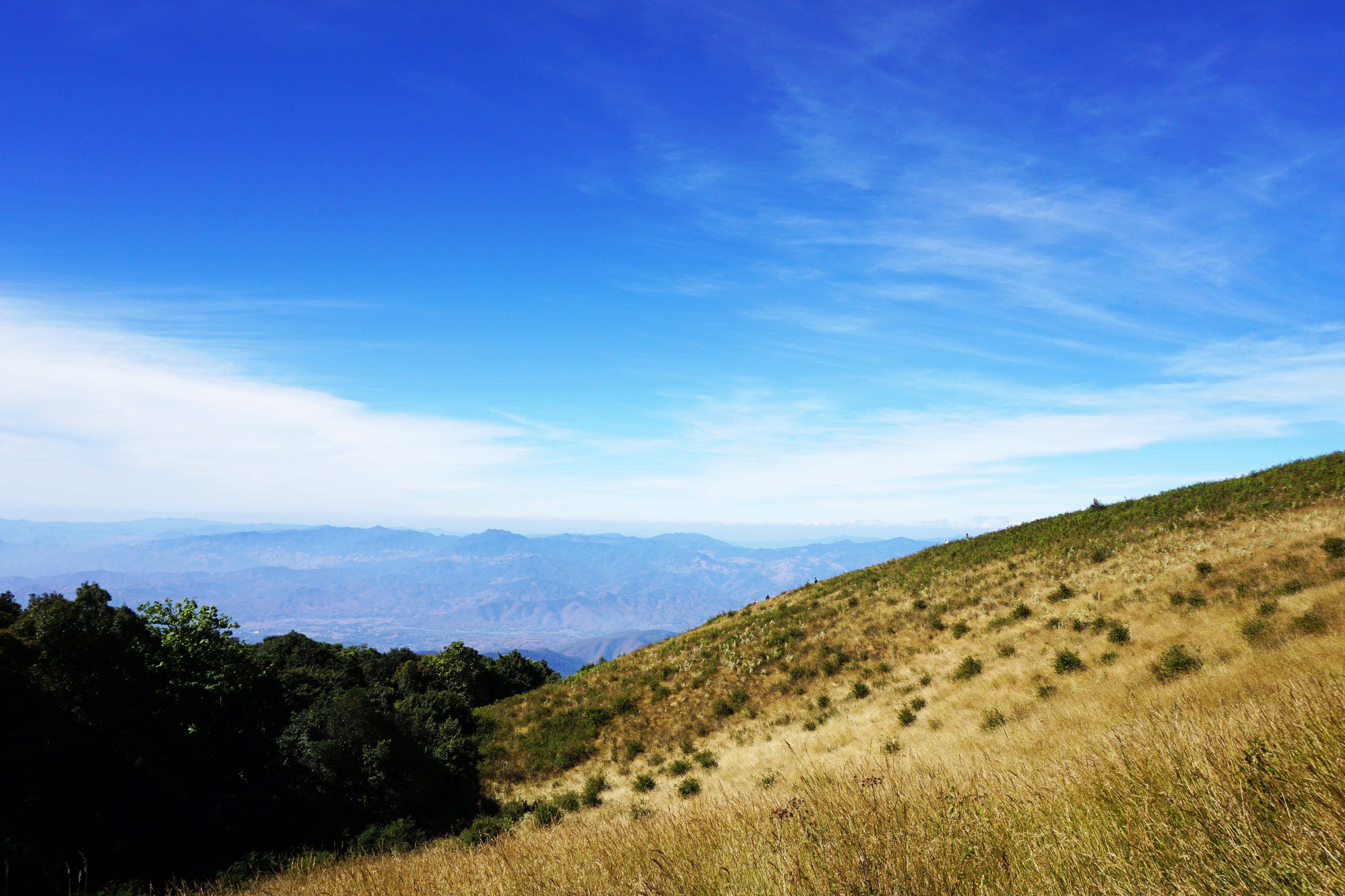 Doi Inthanon, mountain, tranquil scene, blue, scenics, grass, day, environment, tree, blue sky, beauty in nature, non-urban scene, landscape, tranquility, HD Wallpaper
