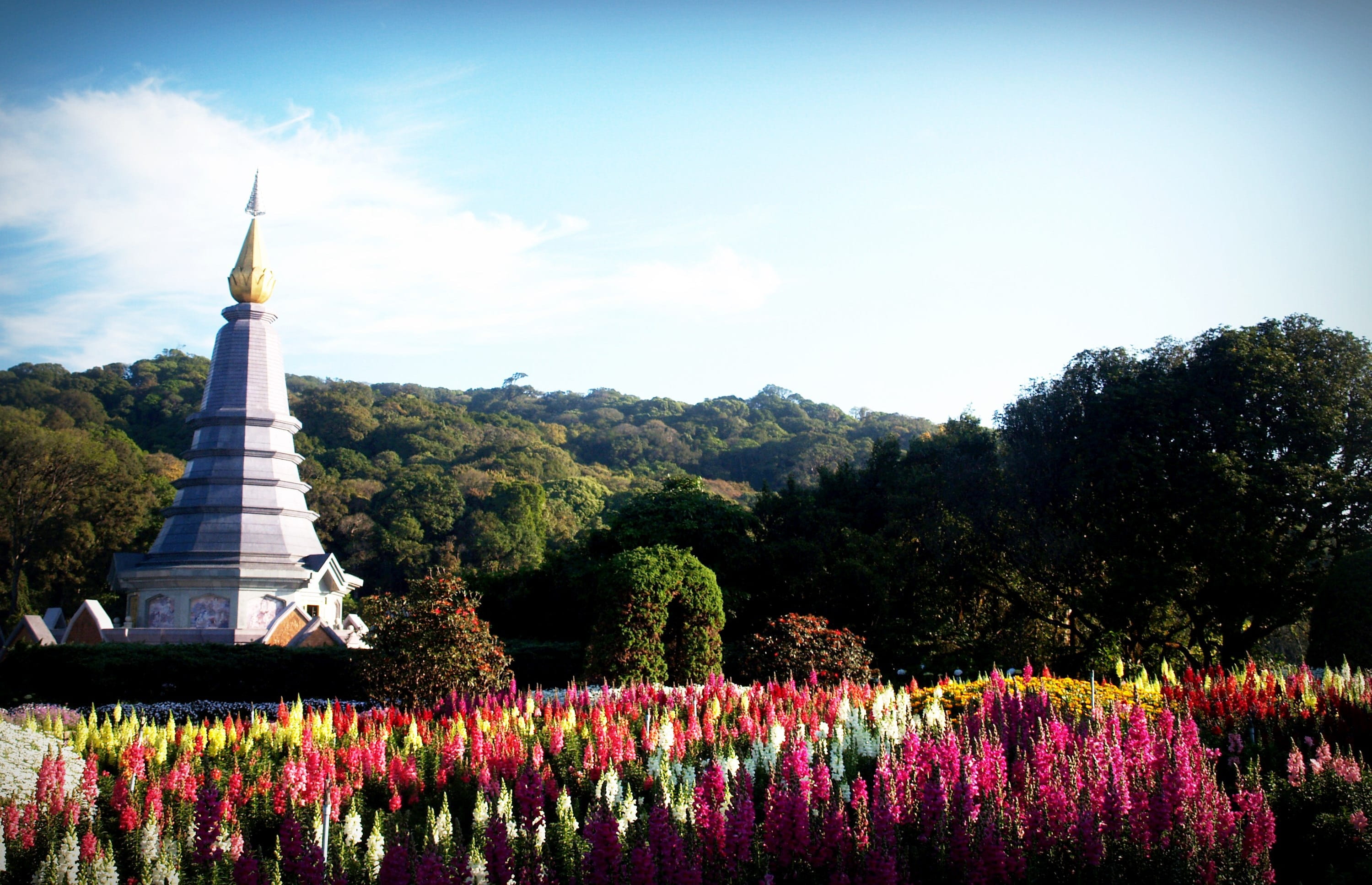 monument, chiangmai, old, tourist, no people, stupa, 2K, construction, nature, travel destinations, travel, background, Architecture, ancient, park, thai, HD Wallpaper
