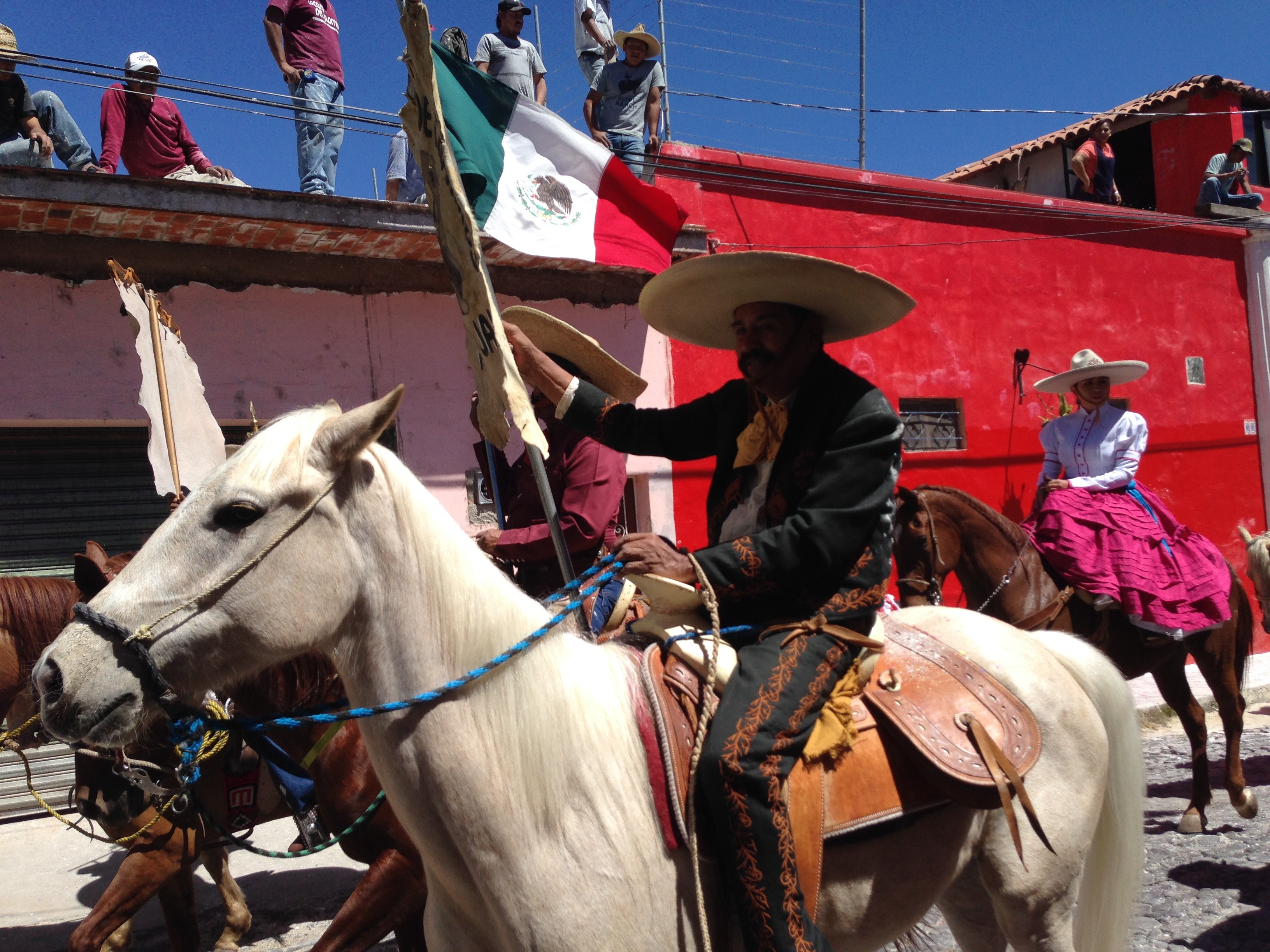 hat, livestock, men, horseman, symbol, mexican flag, working animal, real people, horseback, horses, vertebrate, herbivorous, one animal, lifestyles, animal, HD Wallpaper