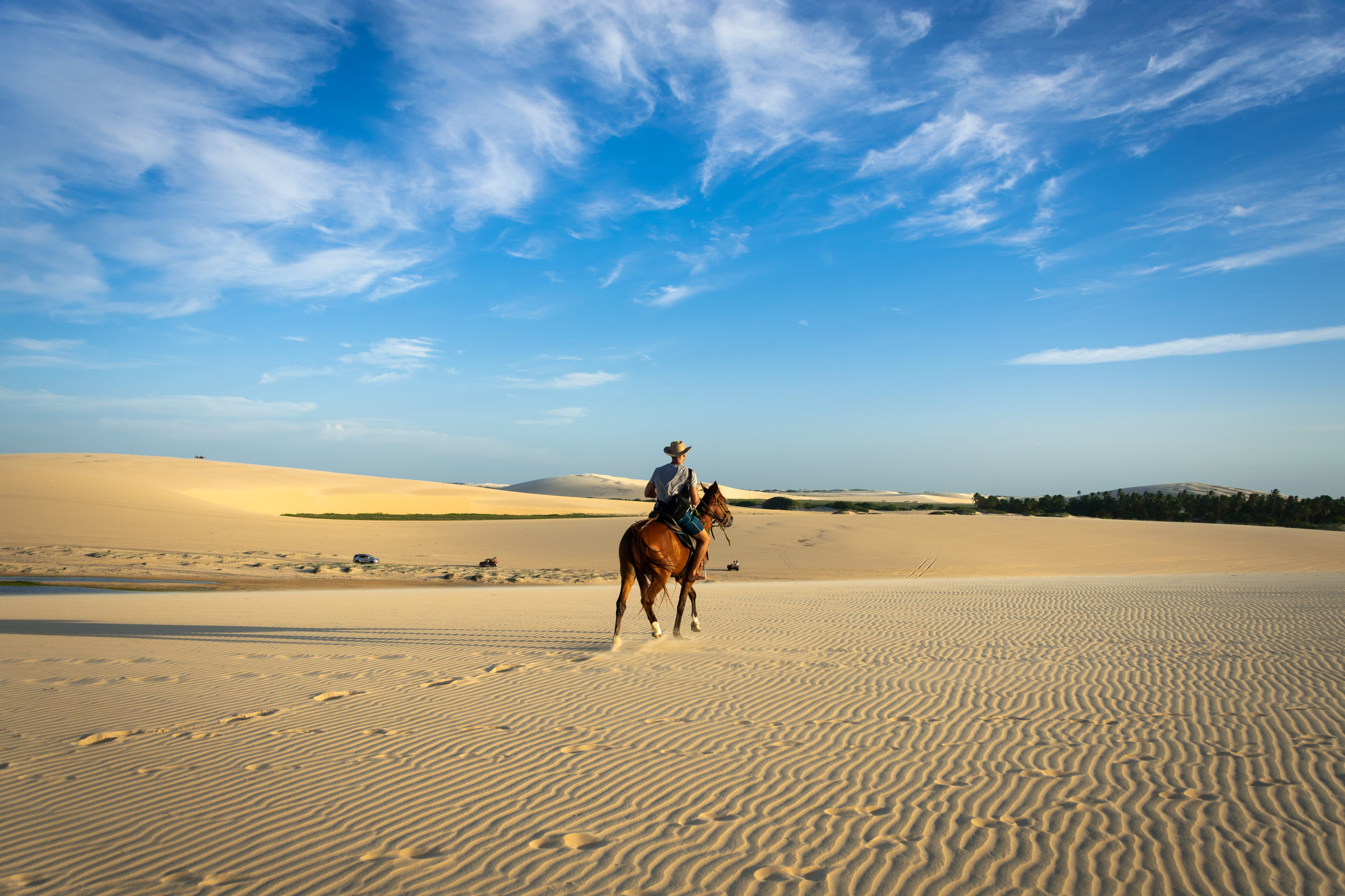 adventure, climate, equestrian, cowboy, human, 5K, arid climate, soil, person, land, sky, horse, scenics - nature, outdoors, sand, pets, nature, animal themes, HD Wallpaper