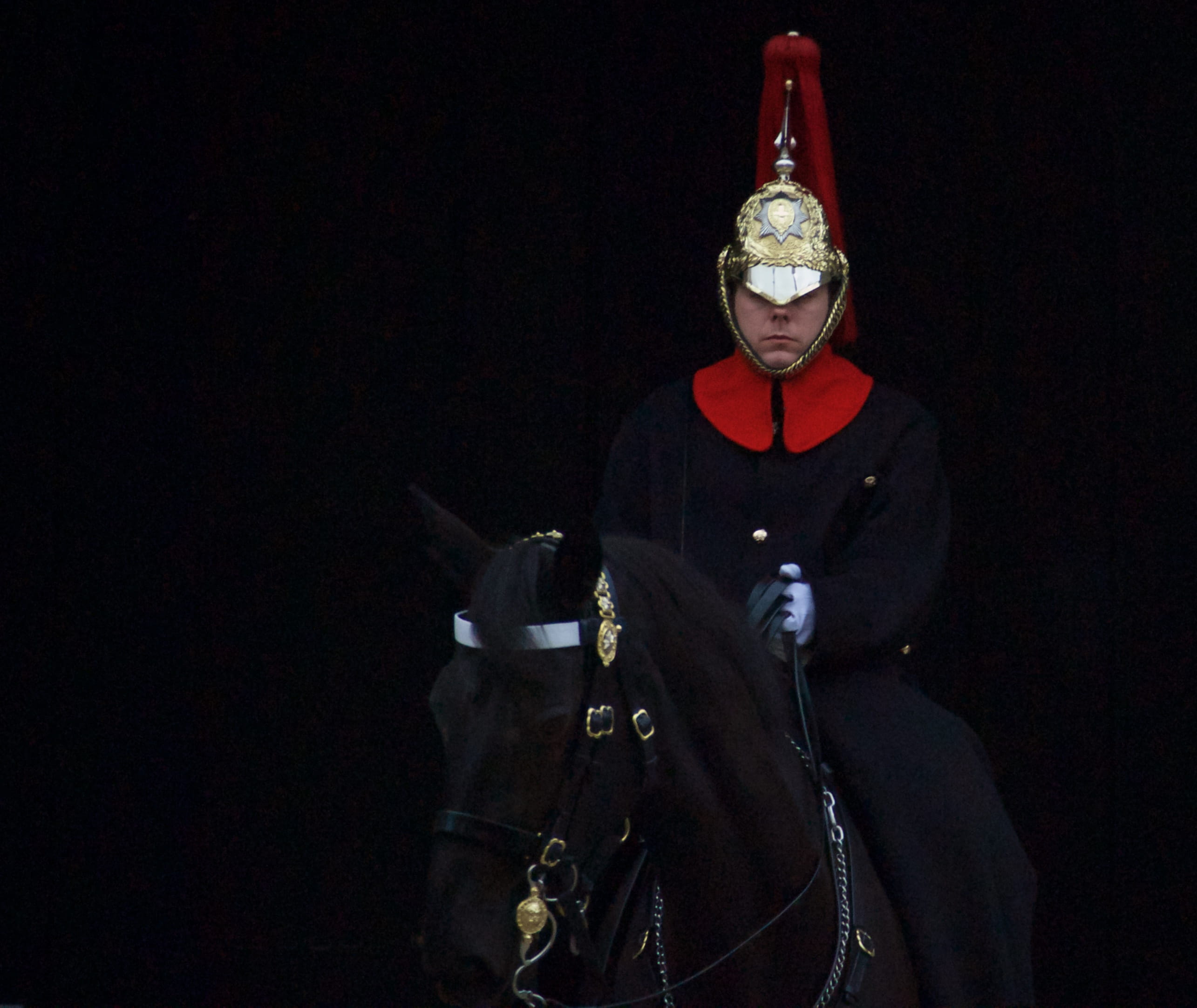 mammal, safety, black background, government, cavalry, apparel, horse, clothing, 2K, black, guard, astronaut, uniform, real people, holding, stallion, HD Wallpaper