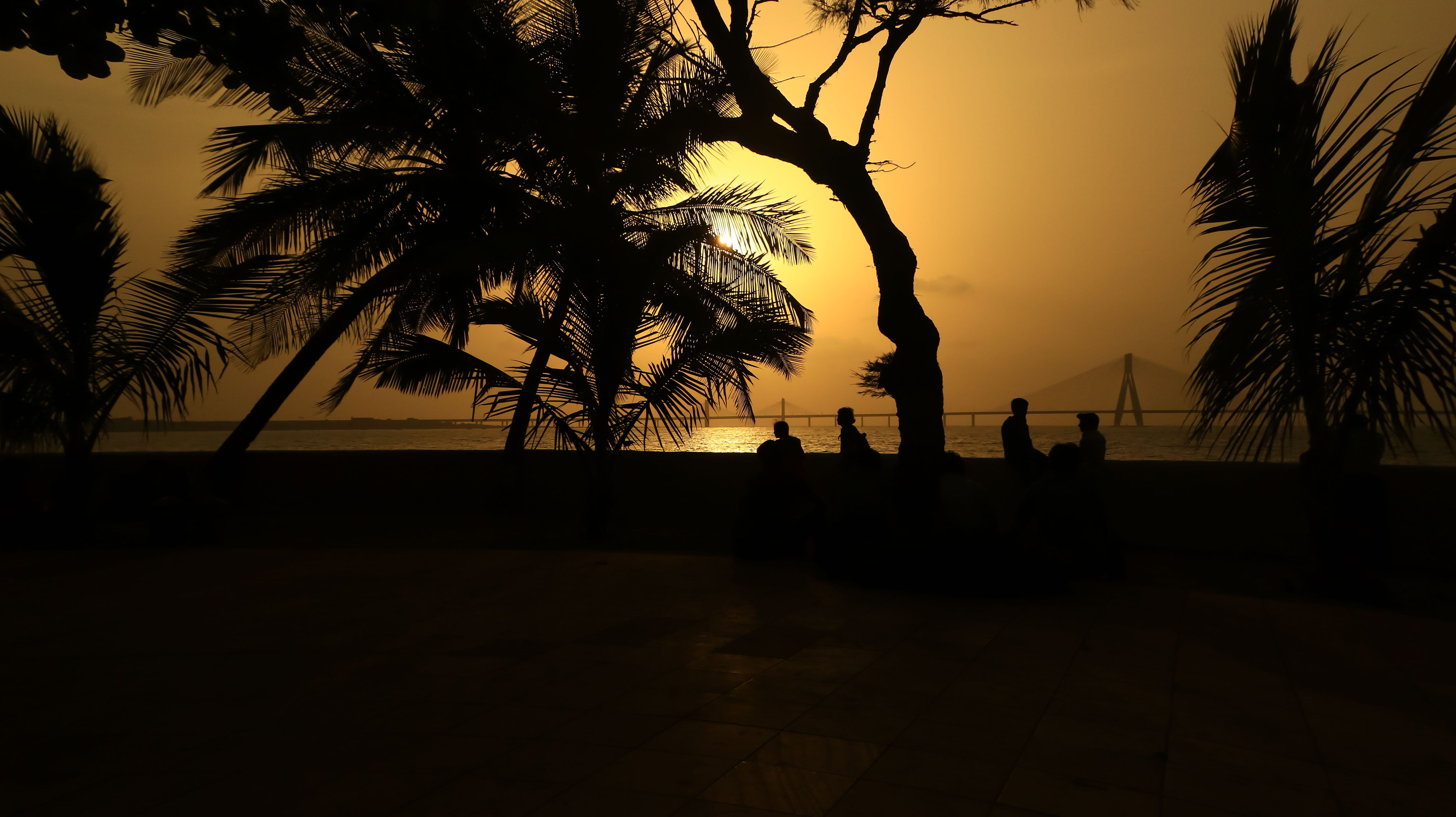 horizon over water, tree, group of people, horizon, water, outdoors, shivaji park, beauty in nature, plant, beach, mumbai, 5K, tranquil scene, palm tree, HD Wallpaper