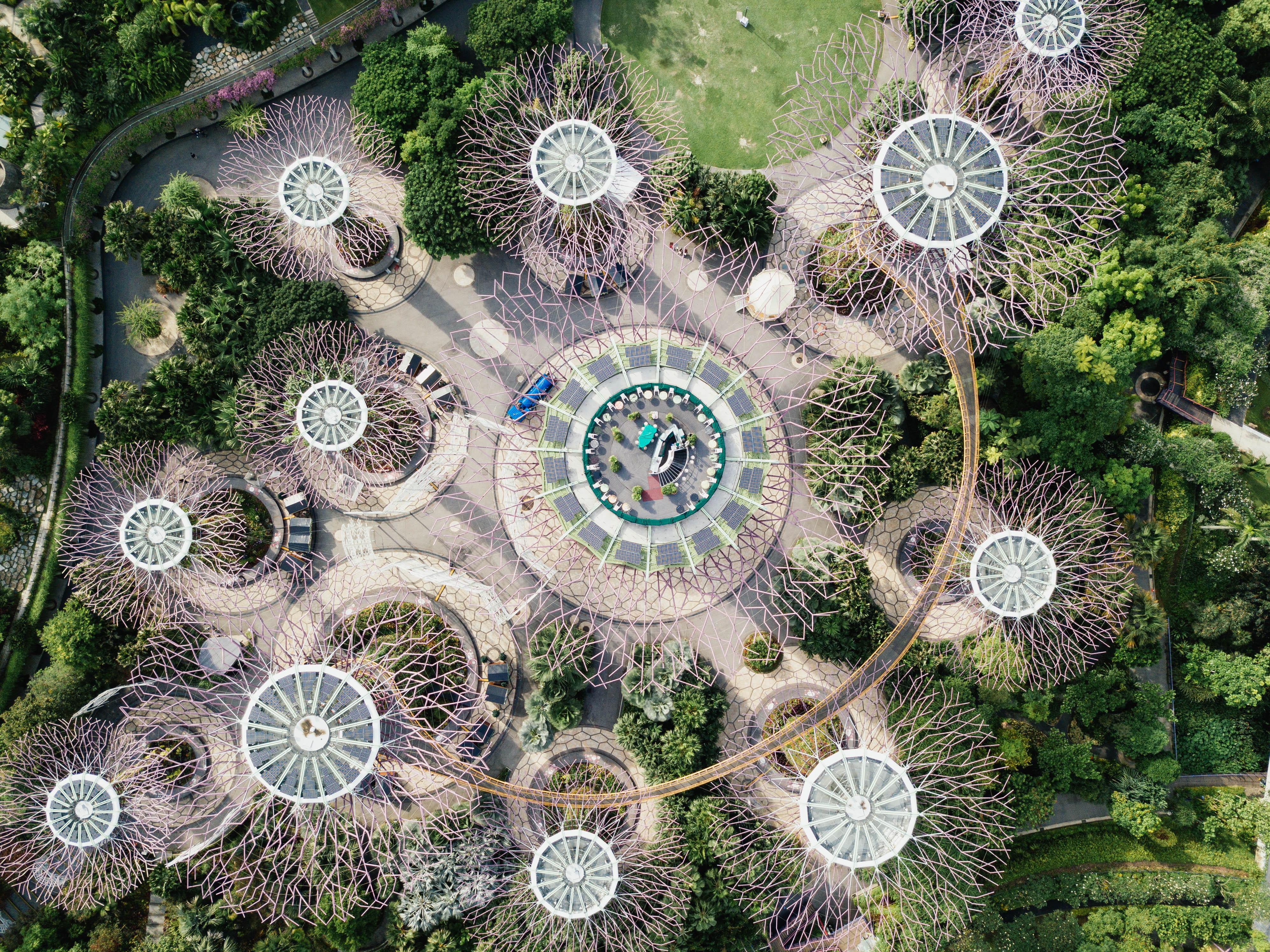 shape, untitled, from above, day, nature, architecture, cactus, plant, concentric, singapore, 4K, pattern, design, daytime, geometric shape, tree, high angle view, HD Wallpaper