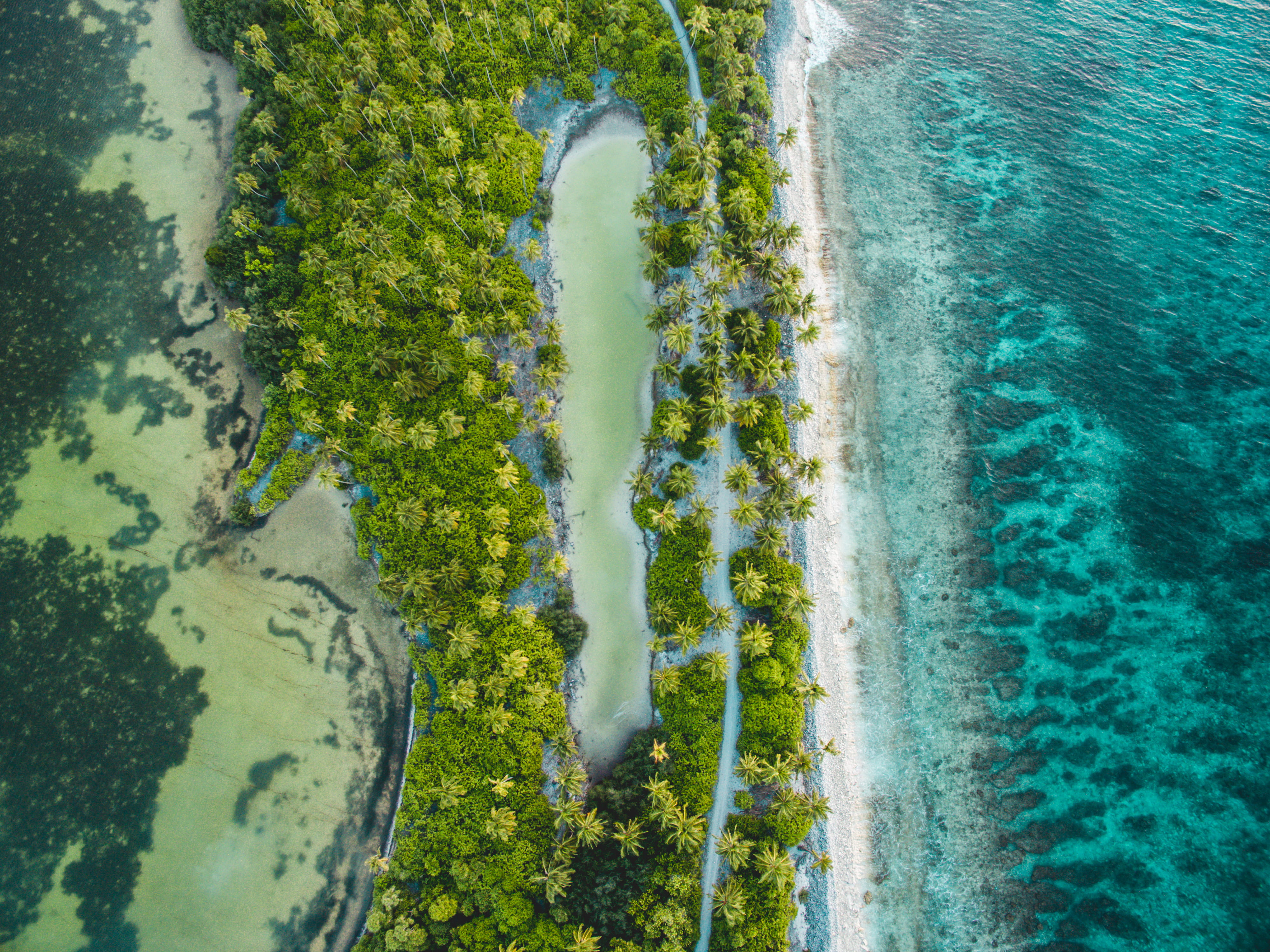 beach, near, day, plant, tranquil scene, flowing, land, body, growth, tranquility, bird, eye, water, nature, beauty in nature, ocean, lake, high angle view, HD Wallpaper