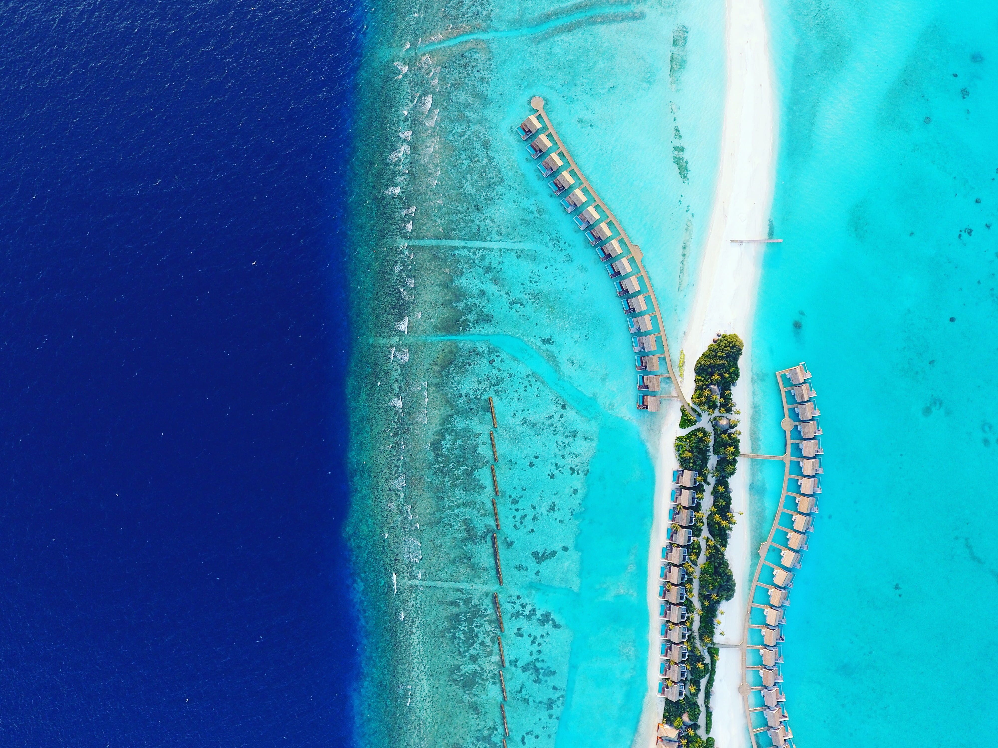 aerial, aerial view, s, sport, house, sand, beach, nature, water, motion, competitive sport, photo, pool, drone, sunlight, competition, day, swimming lane marker, HD Wallpaper