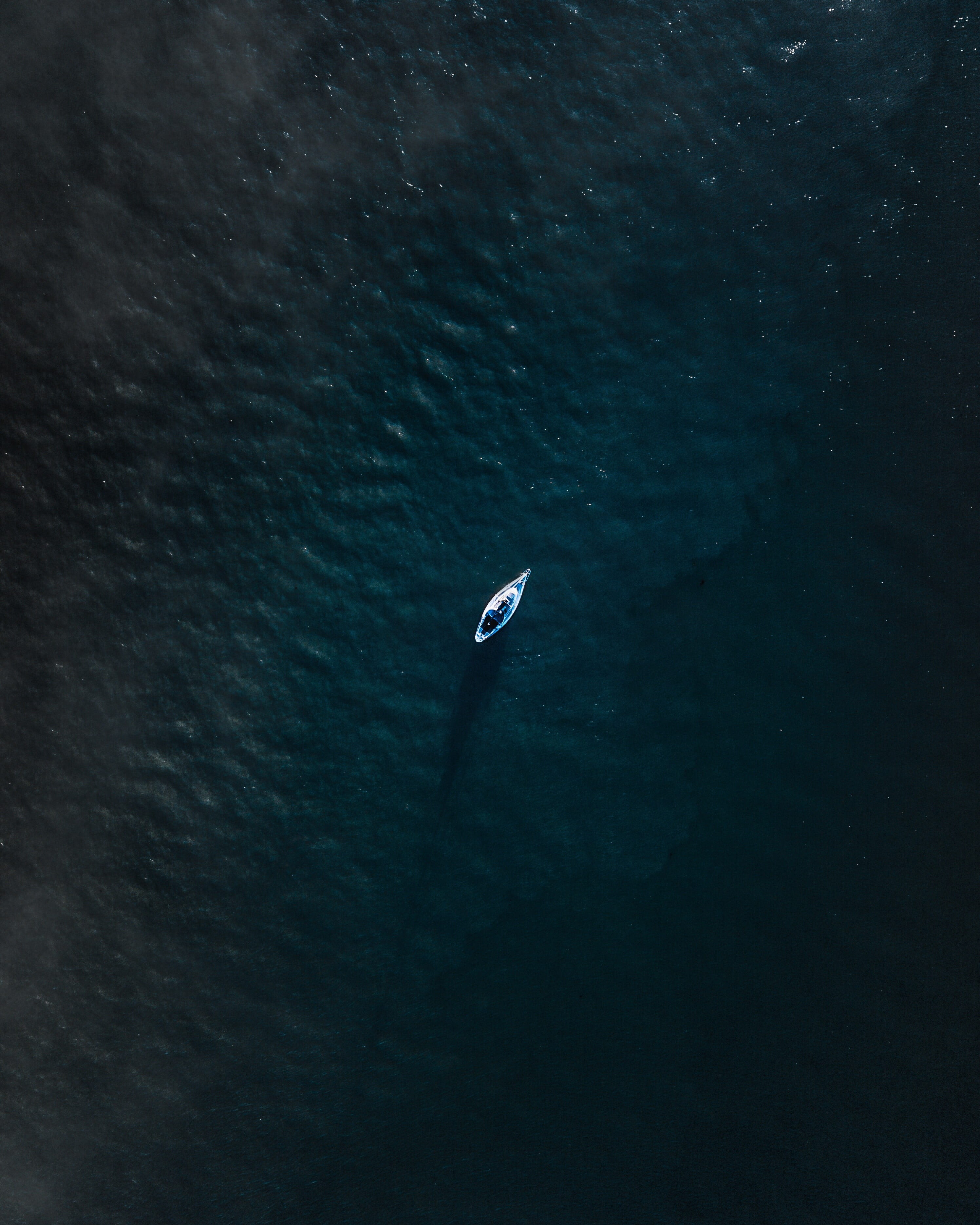 looking down, waterfront, sail, animal, nature, blue, travel, white, minimal, boat, water, beauty in nature, view, outdoors, pro, sea, animal wildlife, Phone HD Wallpaper