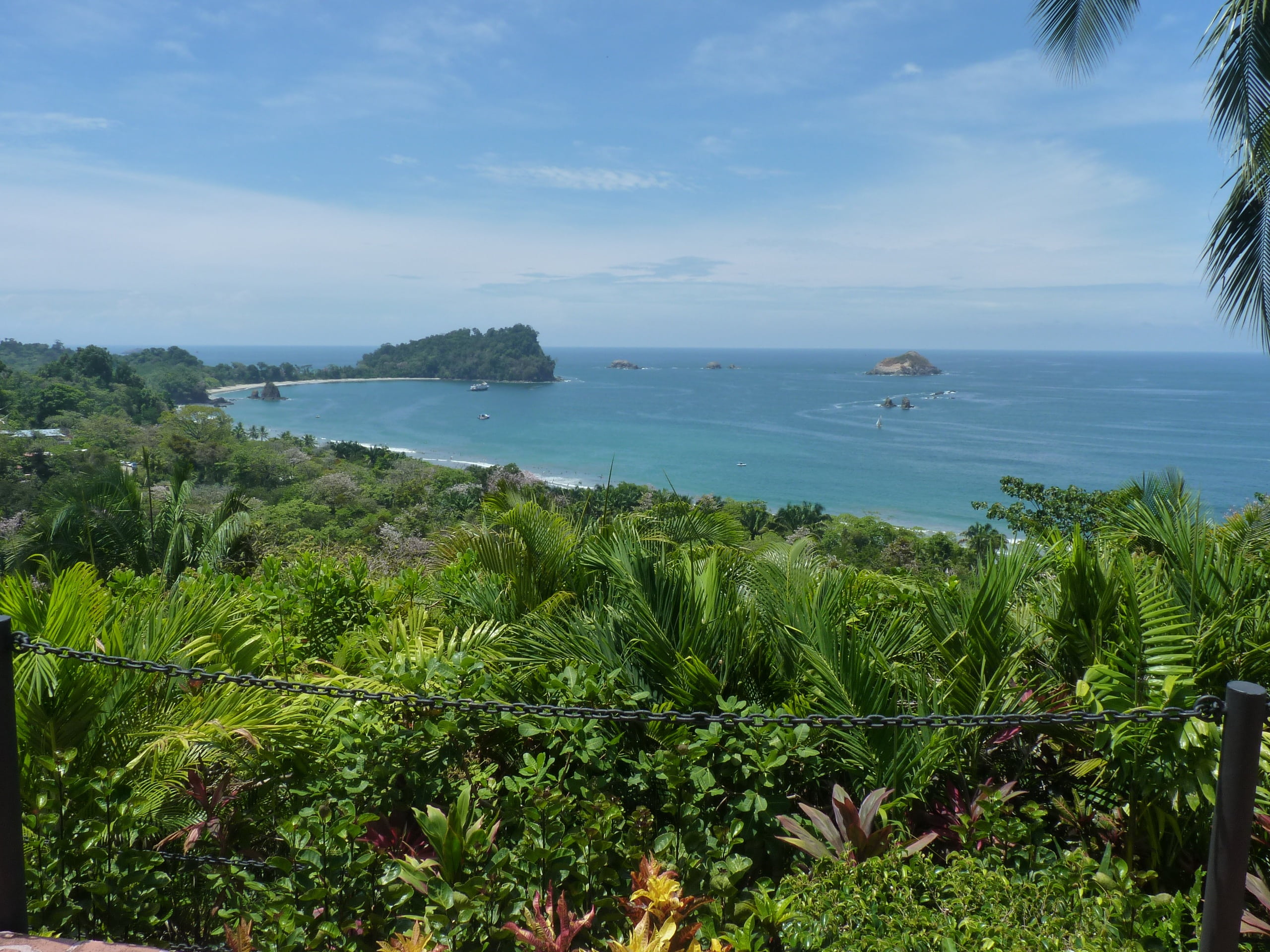 2K, tree, day, tranquility, manuel antonio, sea, outdoors, scenics - nature, plant, coastline, horizon over water, water, nature, growth, green color, HD Wallpaper