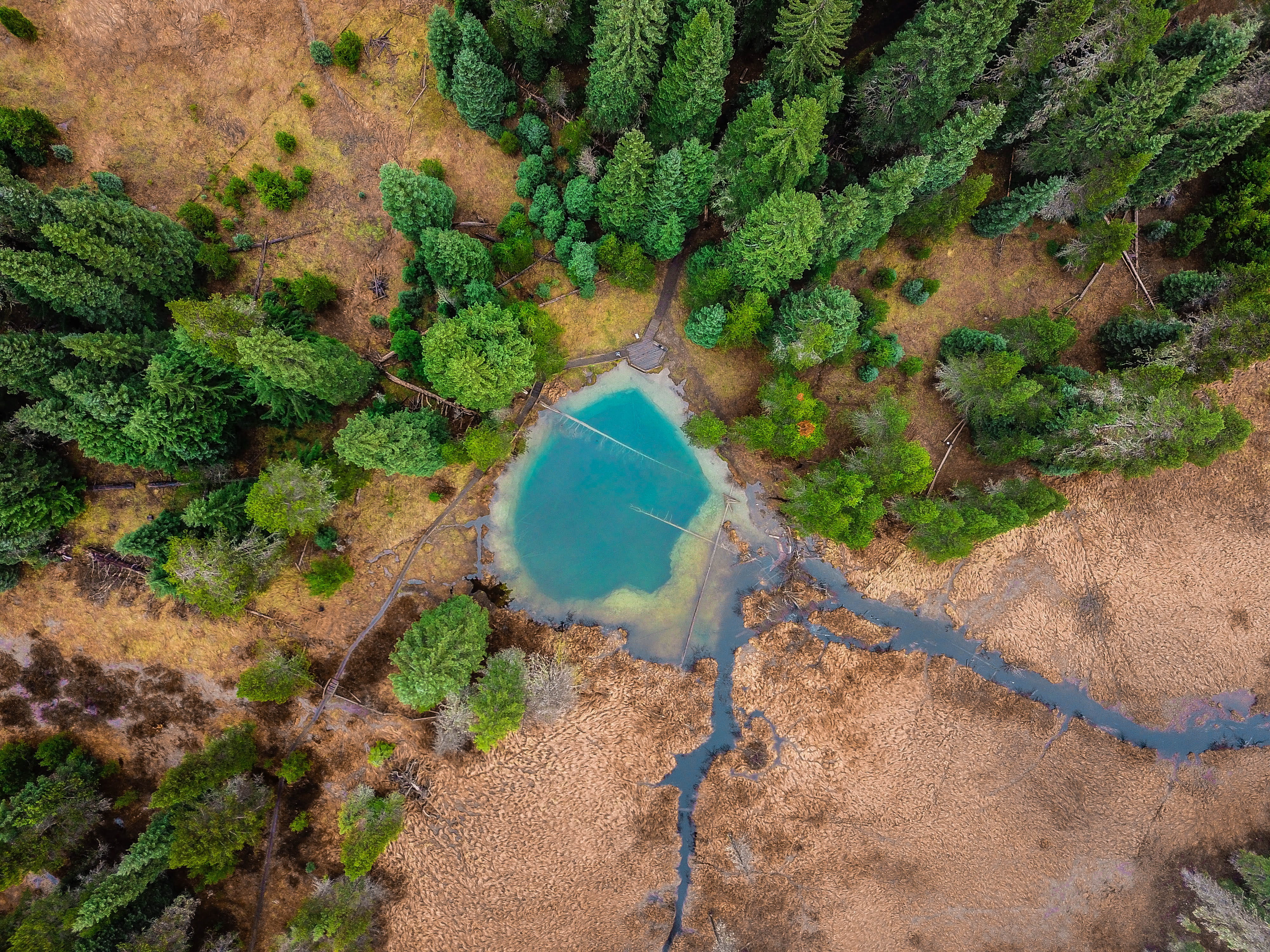 growth, trees, river, lagoon, stream, nature, scenics - nature, aerial view, environment, beauty in nature, 4K, no people, land, non-urban scene, view, HD Wallpaper