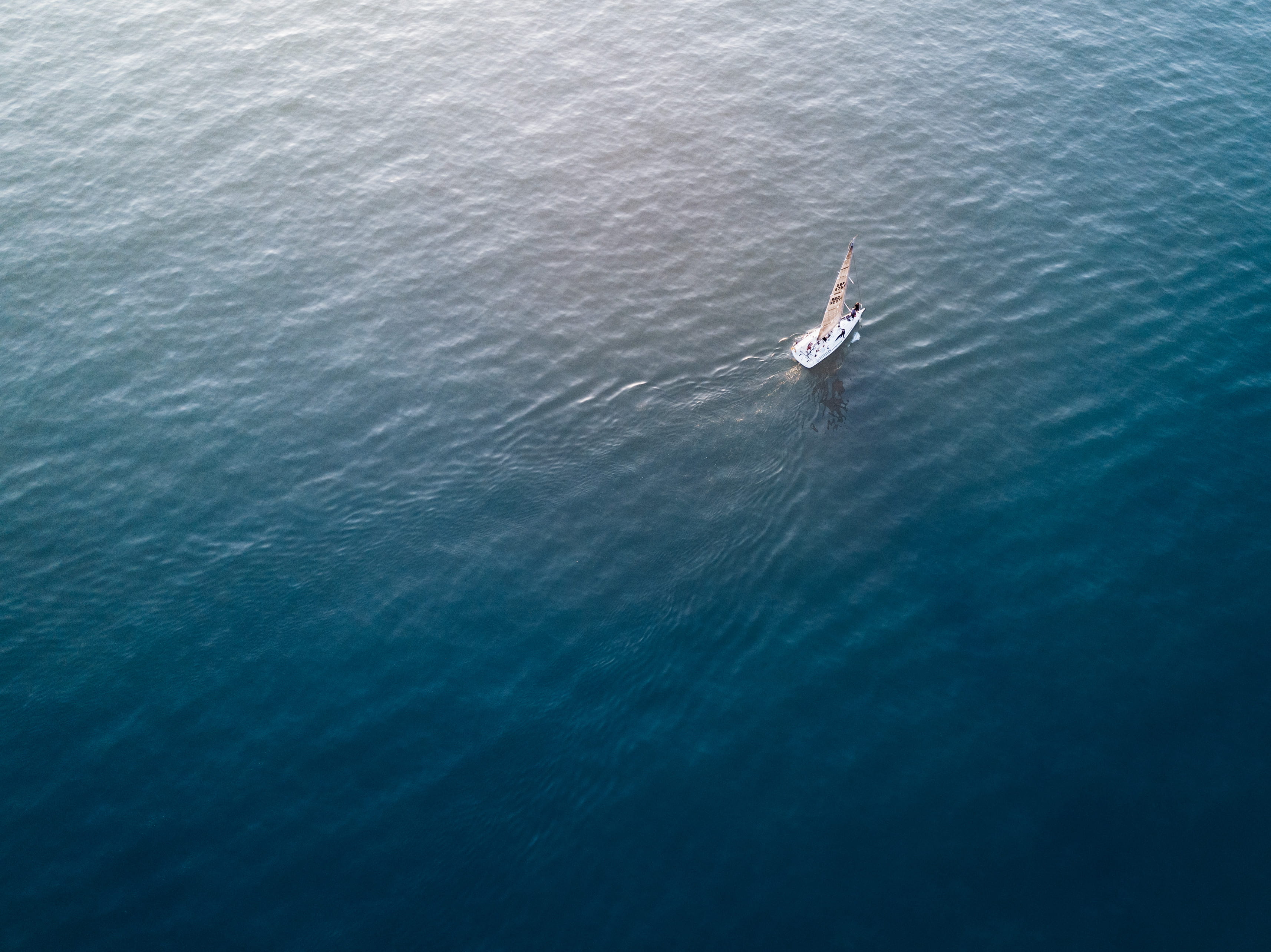 photograph, day, white, one person, mode of transportation, on the move, transportation, motion, sailing, waterfront, beauty in nature, sail, sea, nautical vessel, HD Wallpaper