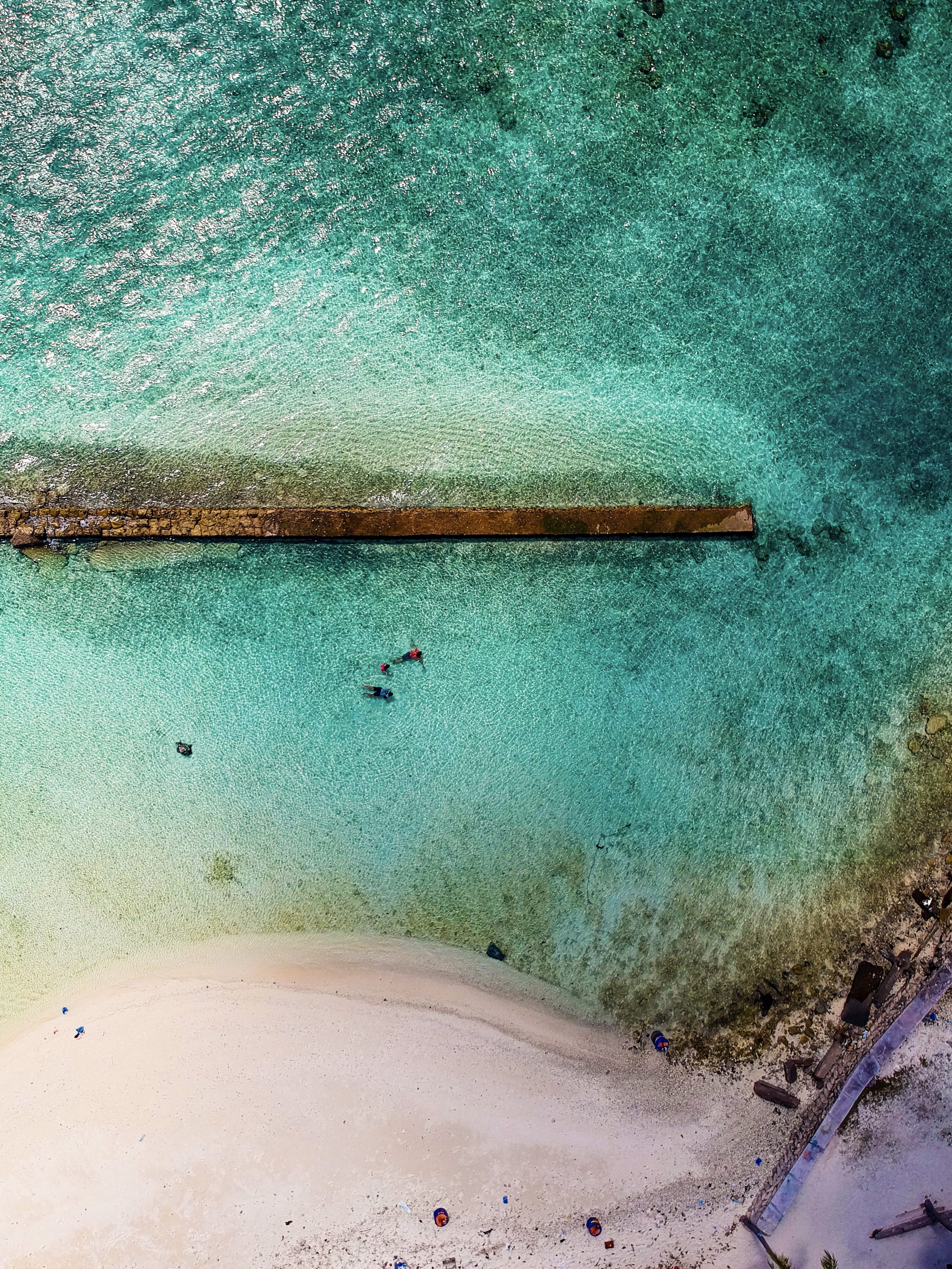 beach, drone, land, architecture, day, sea, outdoors, built structure, vertebrate, animals in the wild, swim, aerial, sand, 2K, nature, blue, swimming, Phone HD Wallpaper