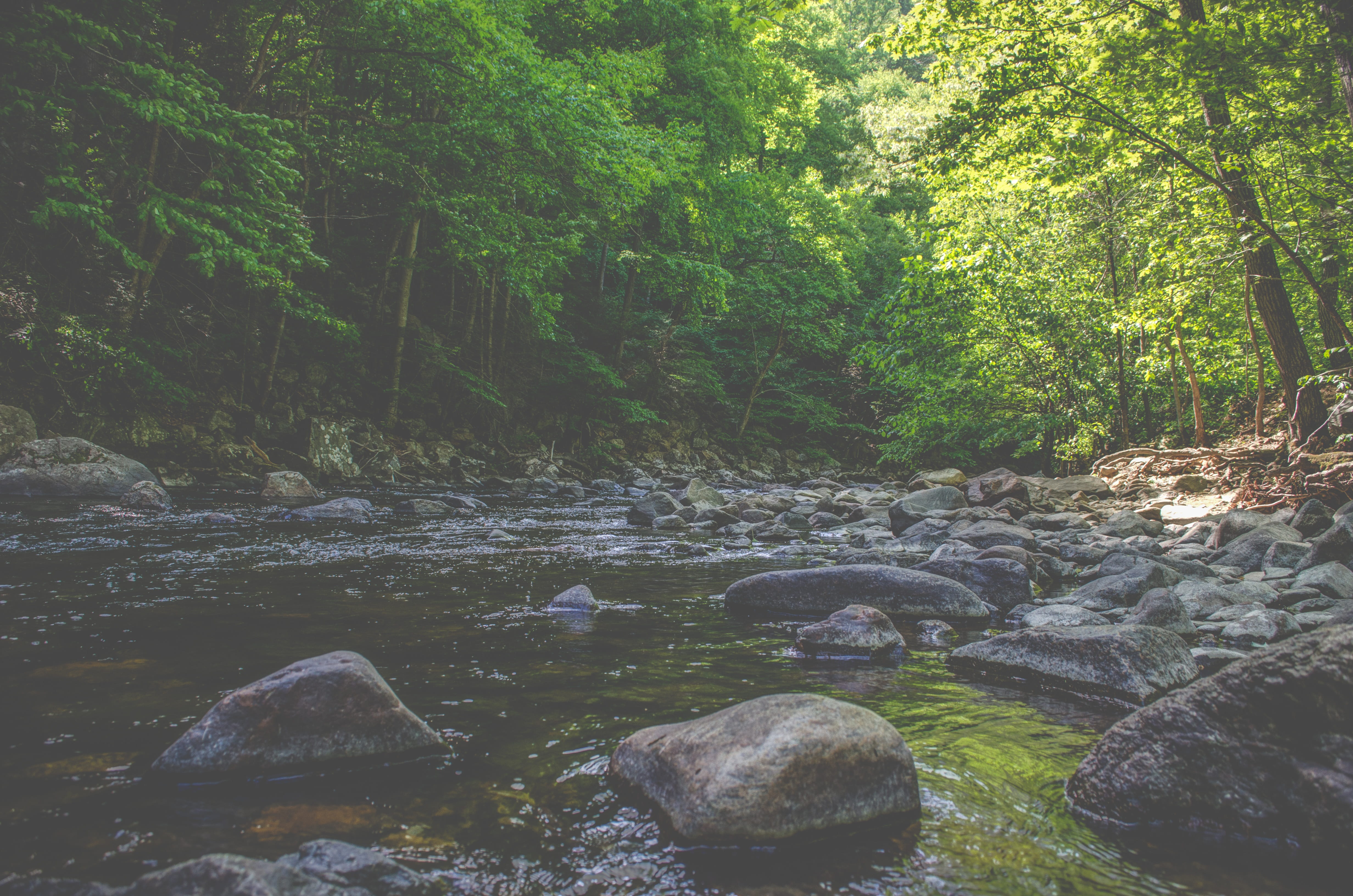 rounded, leafage, daytime, river, no People, tall, natural, rock - Object, environment, landscape, water, flowing, stone - Object, mountain, wood, outdoors, HD Wallpaper