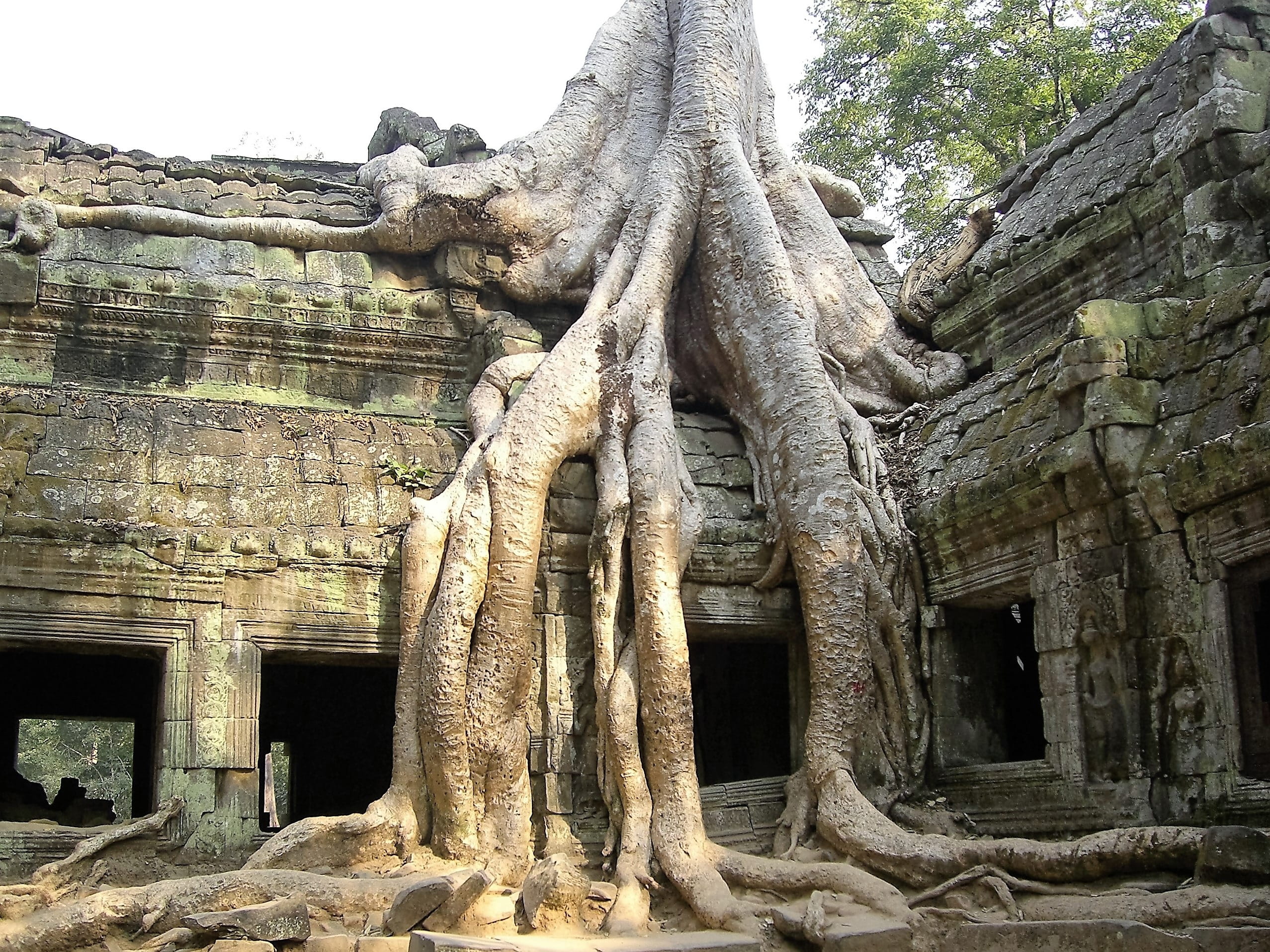 the past, religion, ancient, belief, ruined, archaeology, spirituality, Angkor Wat, building, Old, built structure, travel destinations, building exterior, HD Wallpaper