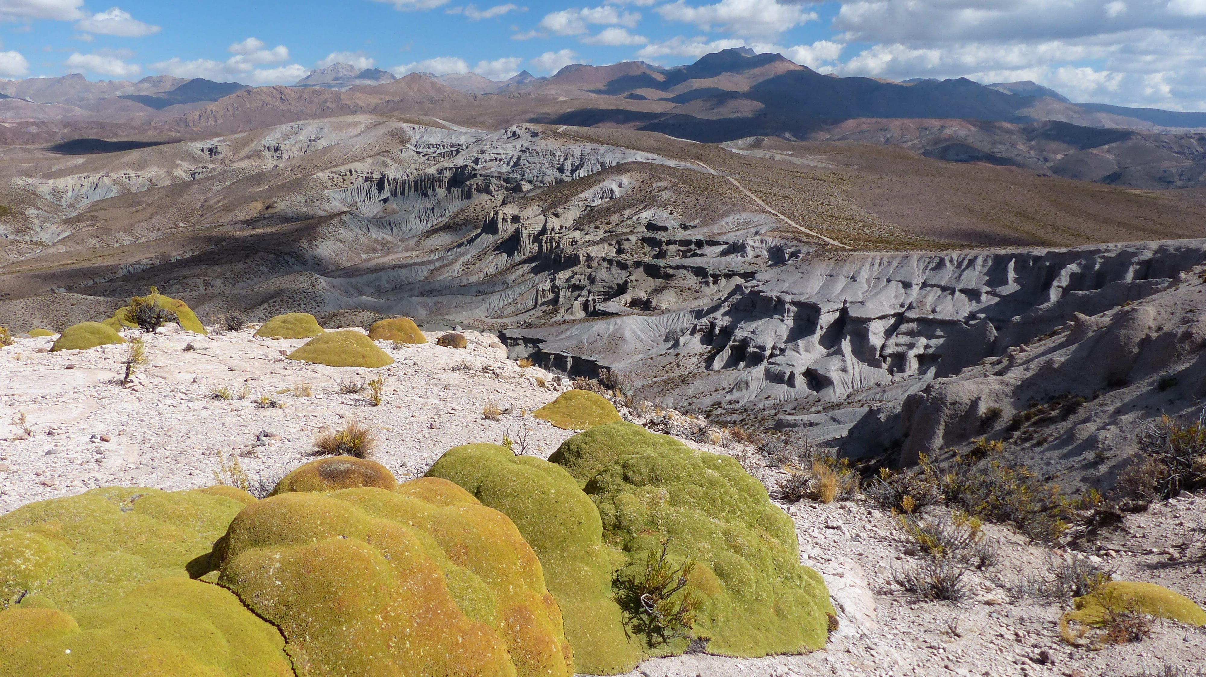 rock formation, altiplano, 4K, tranquility, yareta, rock, non-urban scene, formation, day, bolivia, solid, andes, scenics - nature, landscape, geology, HD Wallpaper
