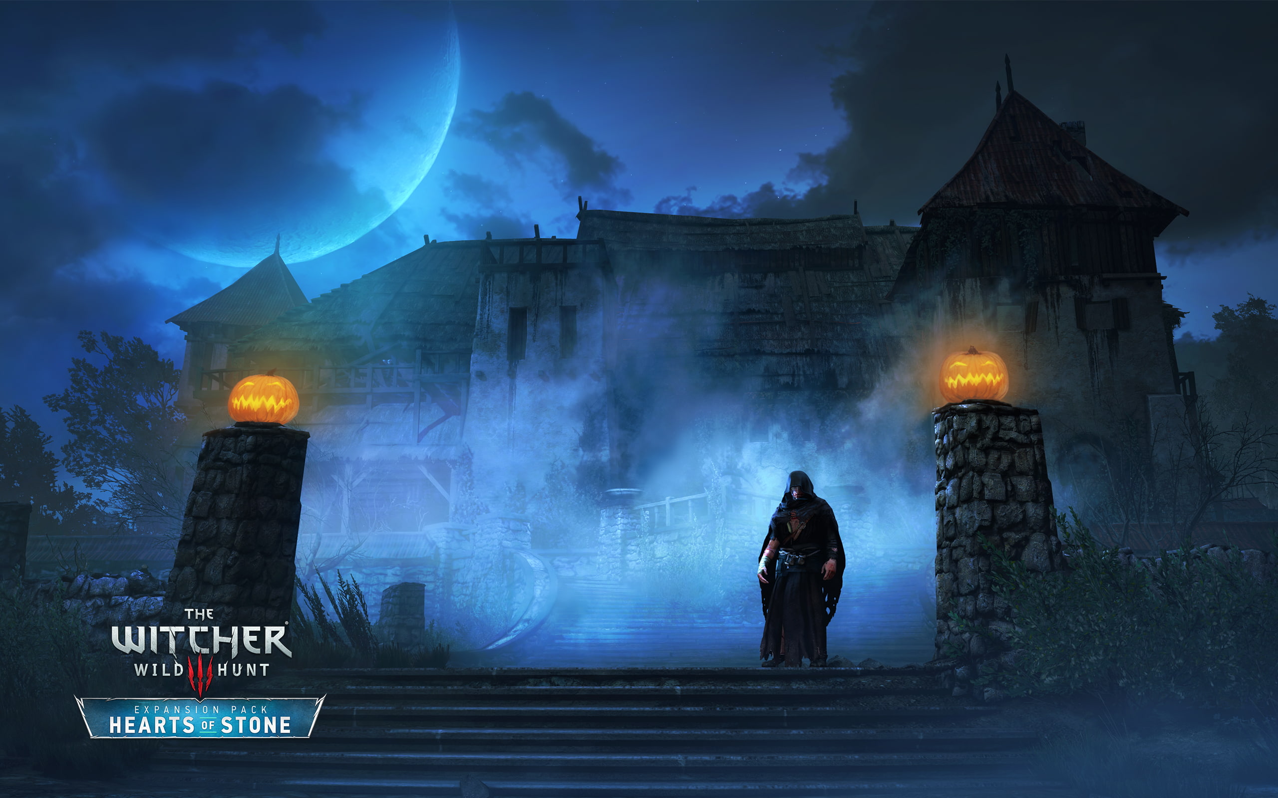 Witcher, Wild, Caretaker, Hunt, 2K, HD Wallpaper