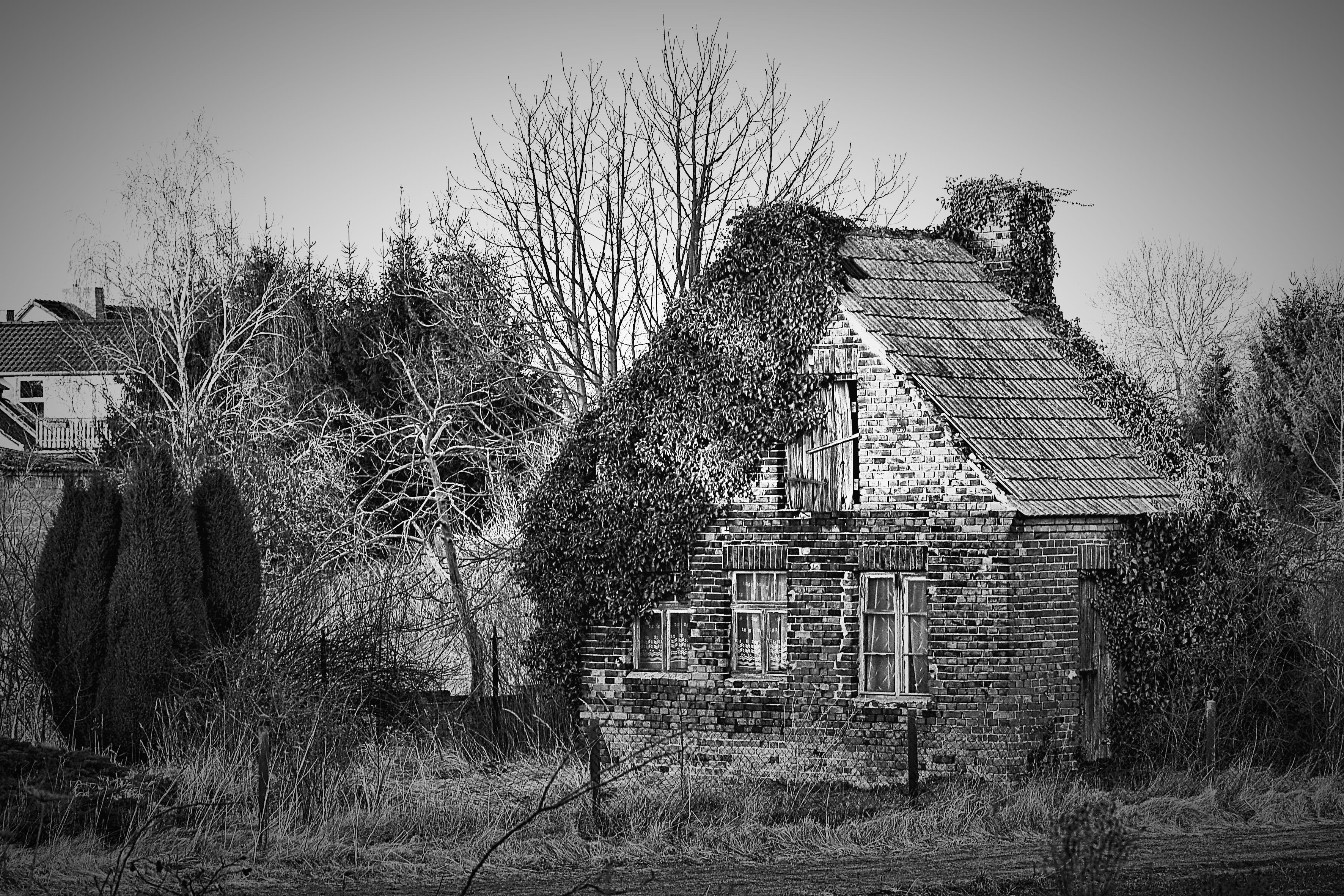 sky, deterioration, architecture, web caretaker cottage, nature, residential district, outdoors, history, bare tree, 2K, old, run-down, abandoned, clear sky, HD Wallpaper