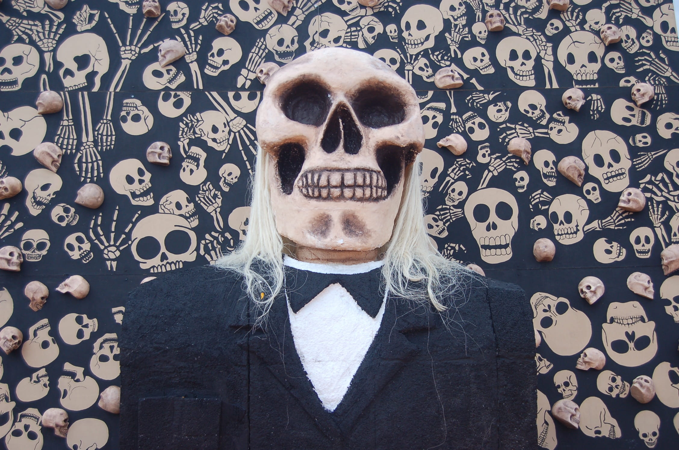 adult, text, human body part, portrait, travel, skull, art and craft, skeleton, one man only, human skeleton, real people, crafts, men, mask - disguise, HD Wallpaper