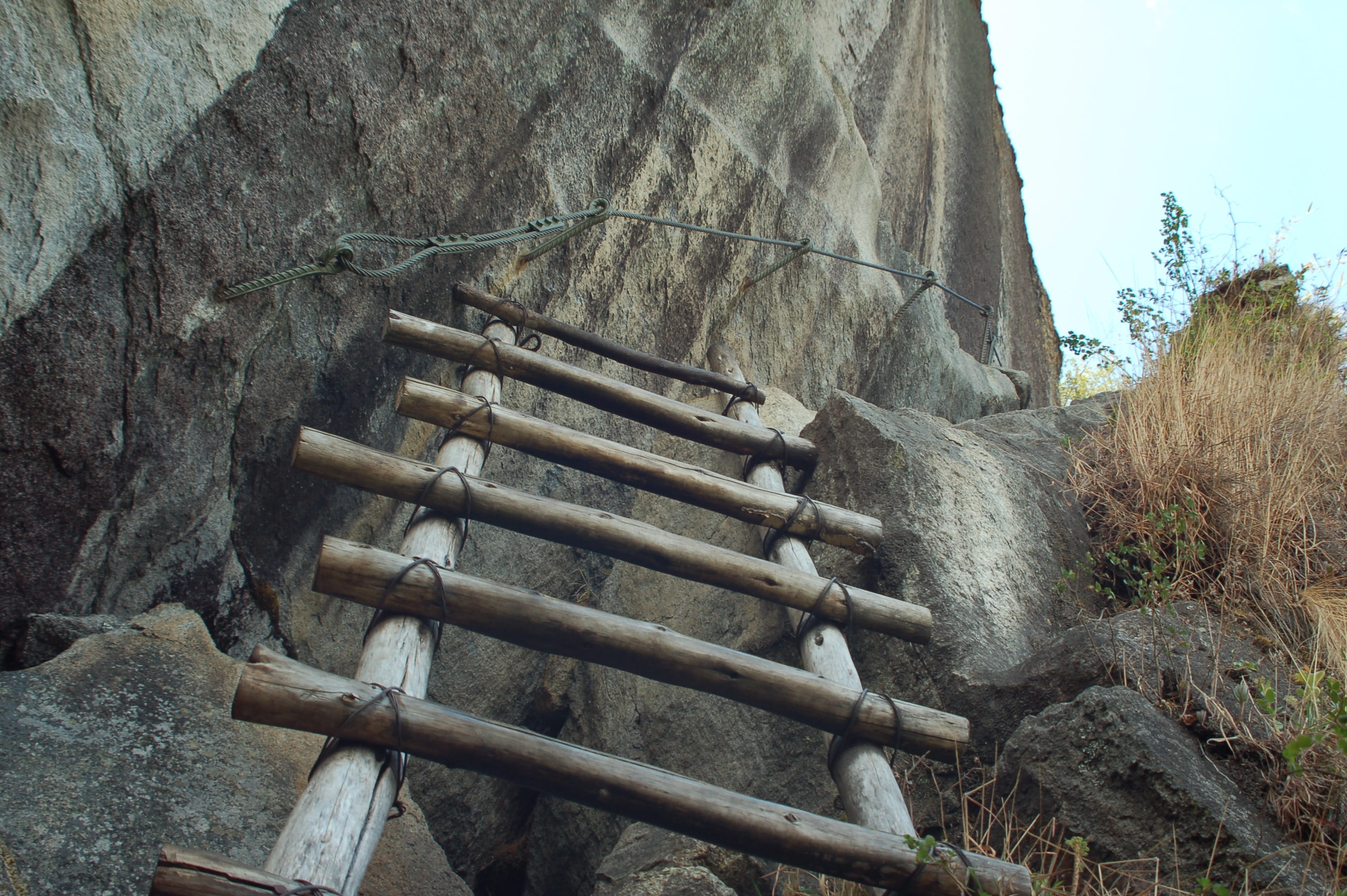 built structure, wall, plant, nature, no people, tree, land, staircase, wall - building feature, wayna picchu hike, wood - material, forest, outdoors, day, HD Wallpaper