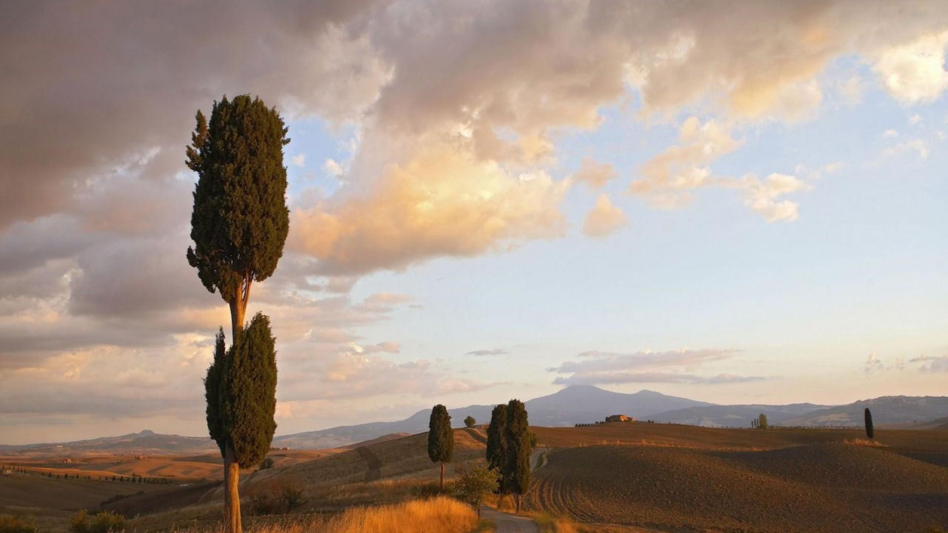 nature and landscapes, tuscany, orcia, summer, road, clouds, 1080P, trees, valley, HD Wallpaper