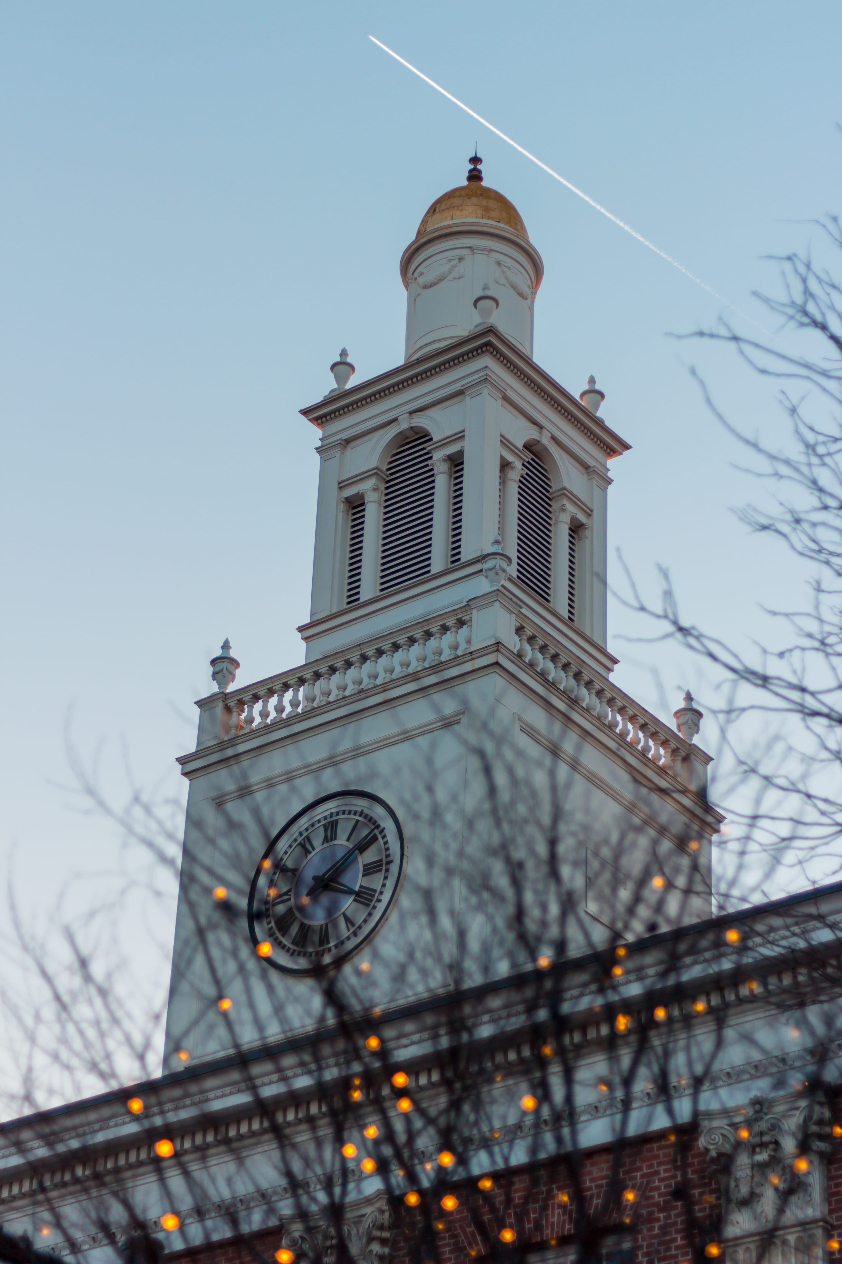 built structure, low angle view, day, no people, tree, sky, building, machine, clear sky, metropolis, bell tower, urban, belief, church, nature, city, animal, Phone HD Wallpaper