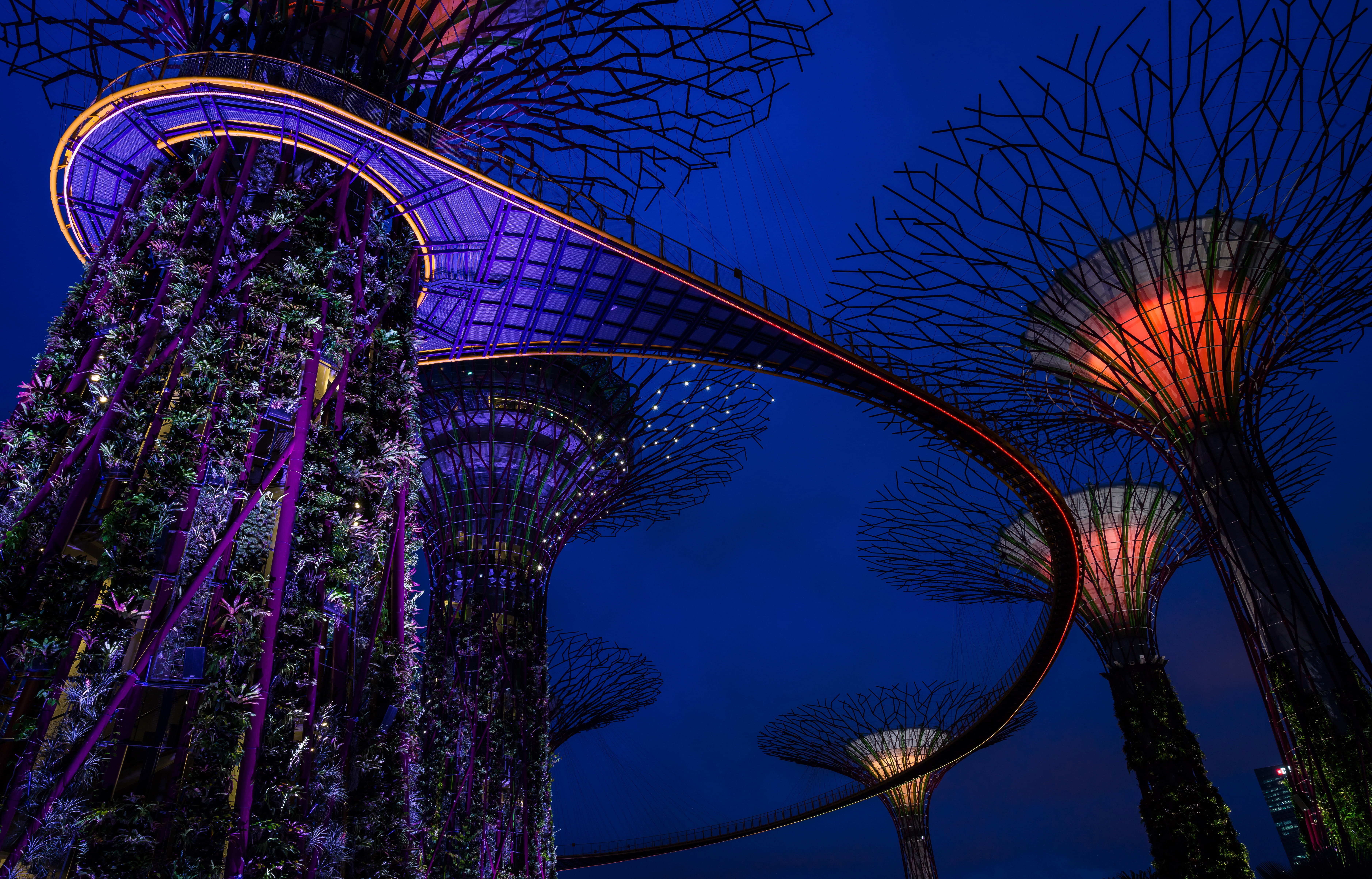 Gardens by the Bay, lights, 5K, gardens, Singapore, design, tower, night, HD Wallpaper