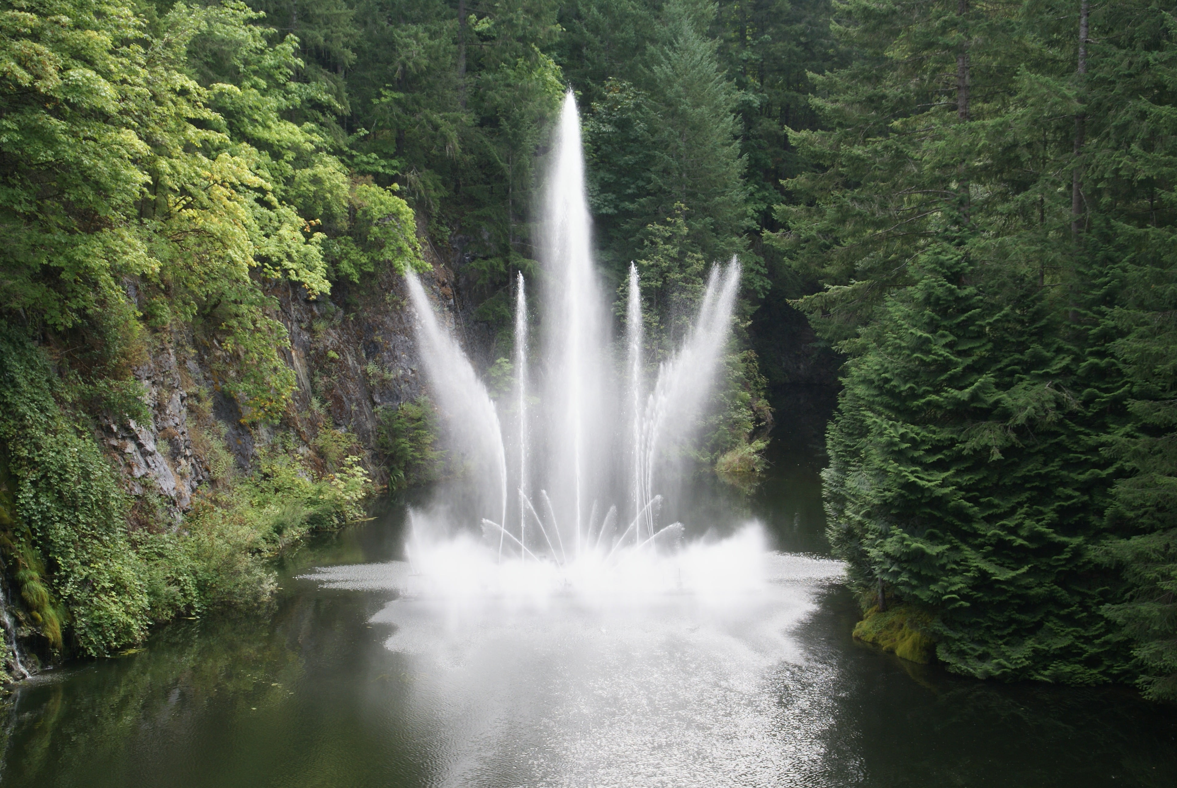 motion, beautiful, scenery, fountain, botanical garden, tree, outdoors, plant, rainforest, non-urban scene, river, flowing water, butchart gardens, park, HD Wallpaper