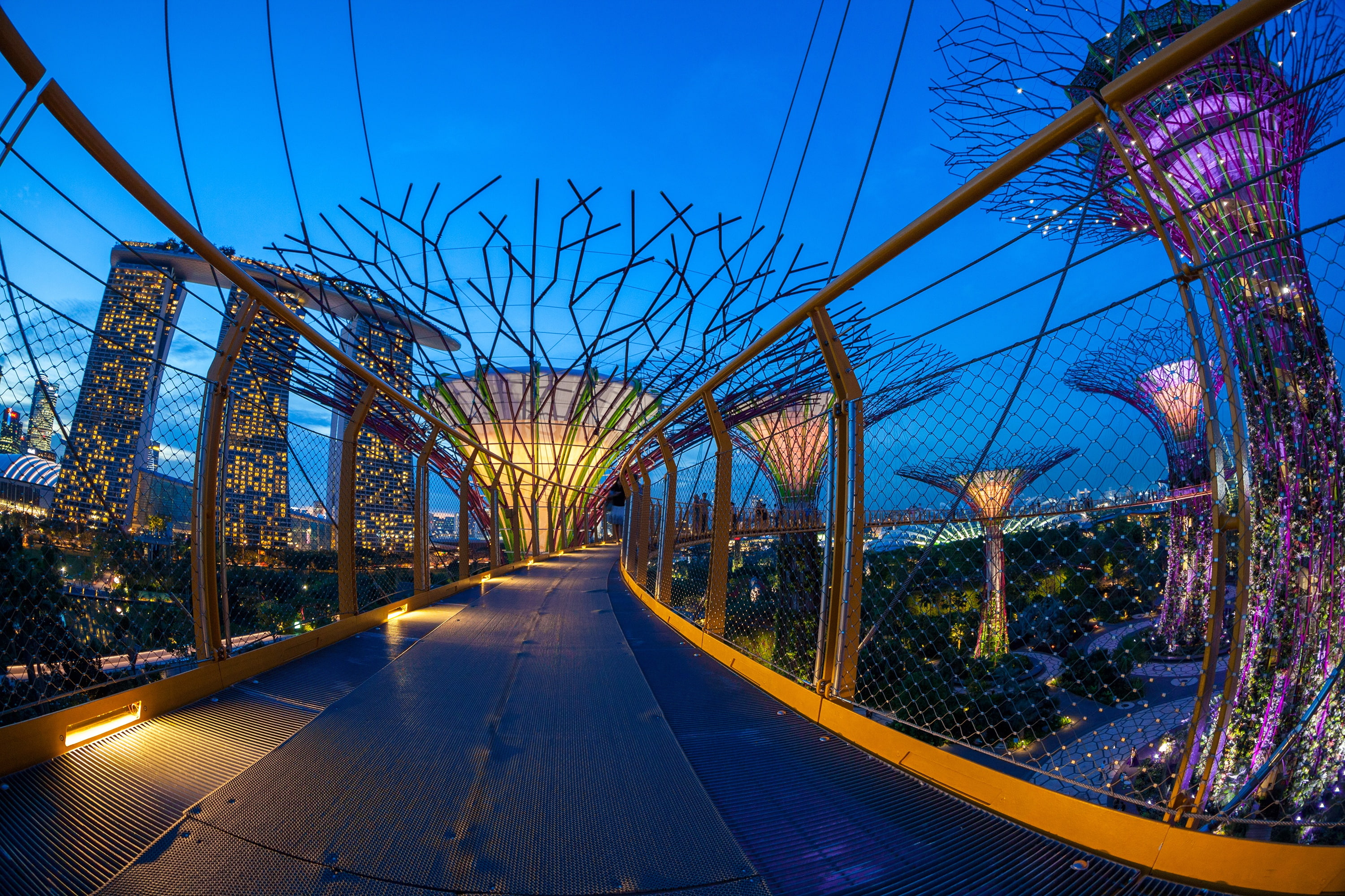 the evening, design, the city, home, Gardens by the Bay, Singapore, Park, lights, bridge, 2K, HD Wallpaper