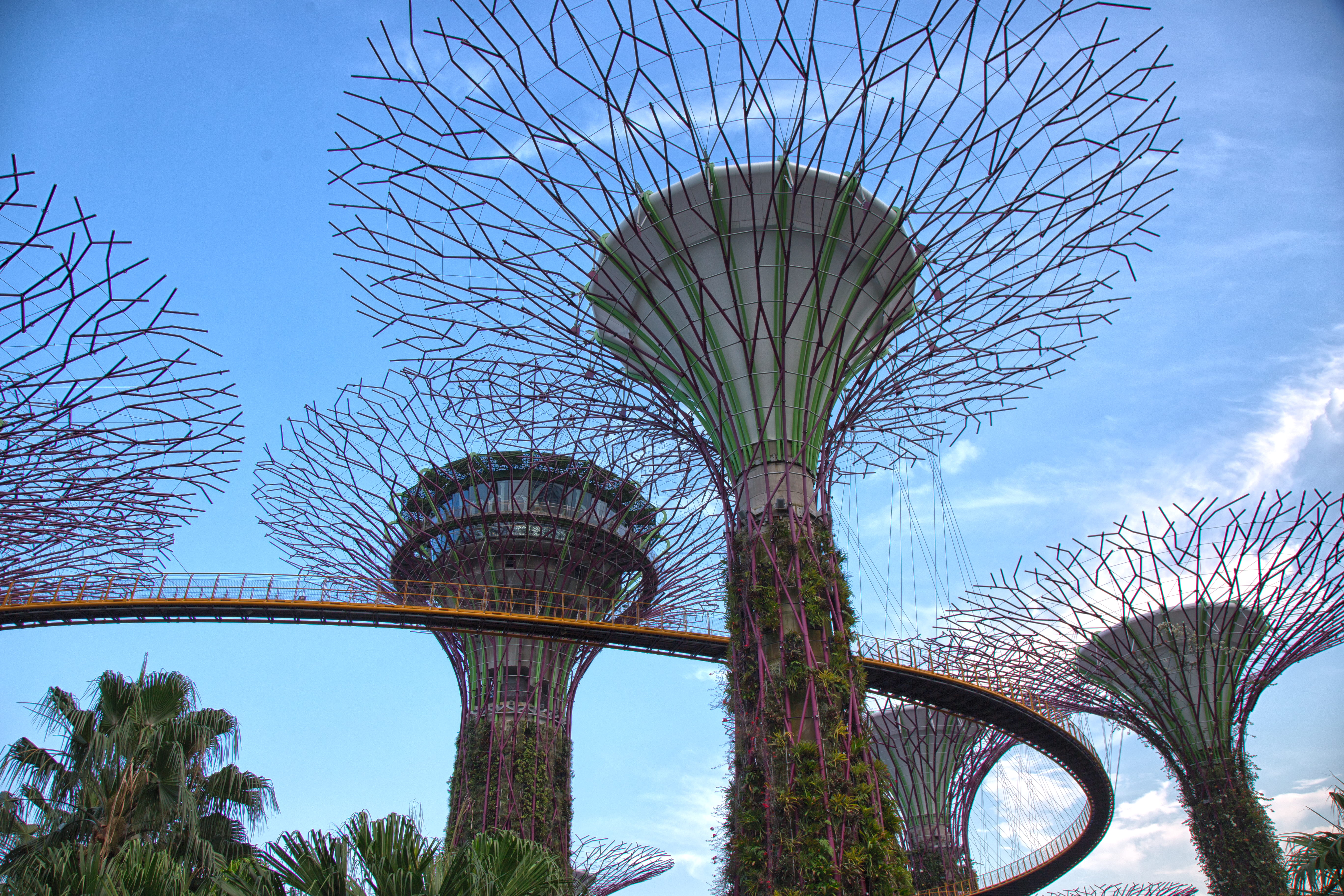 architecture, cloud - sky, attraction, nature, park, modern, low angle view, supertree, singapore, asia, bridge, sky, tourism, city, transportation, tree, HD Wallpaper