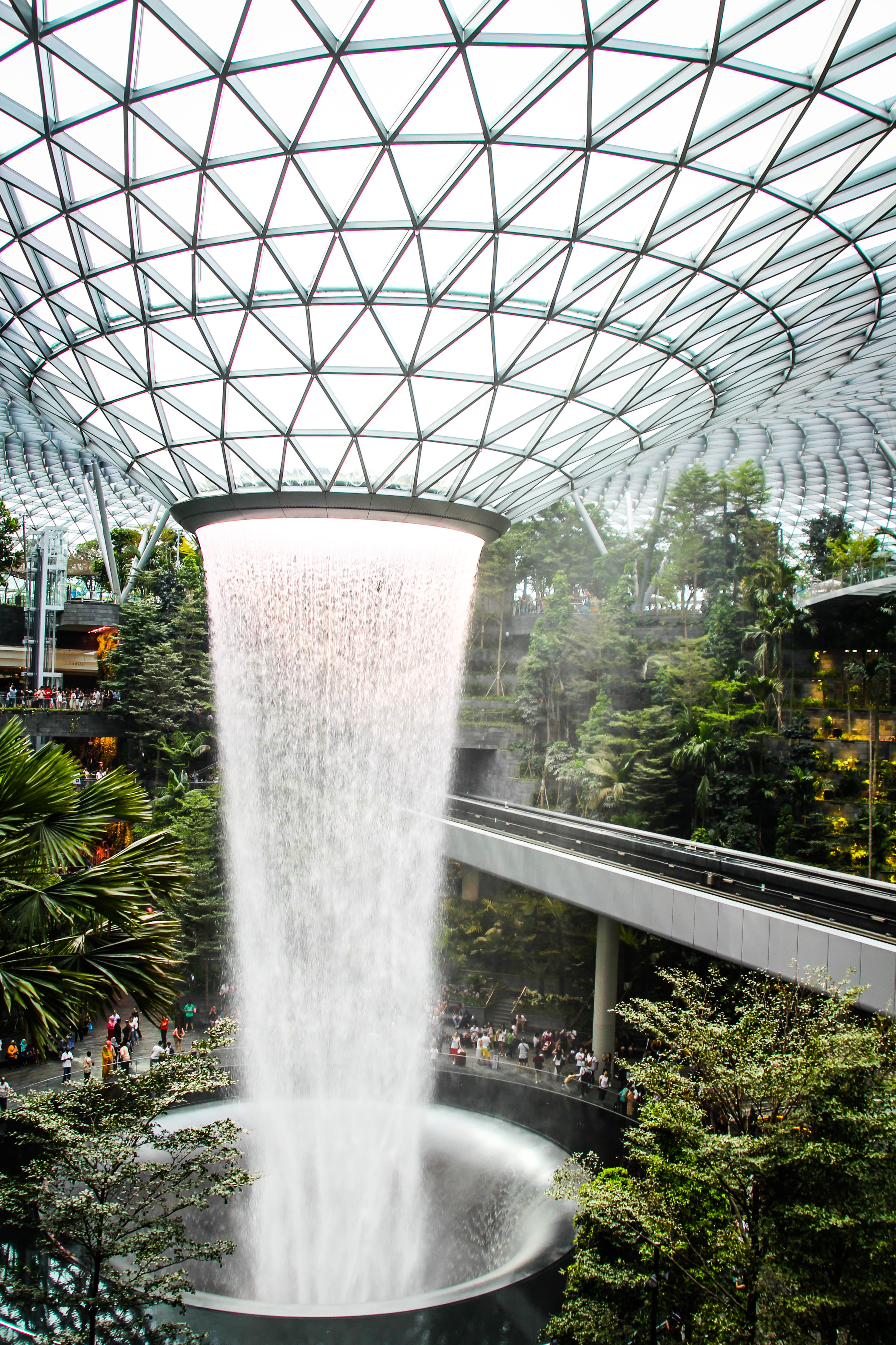 greenhouse, architecture, no people, outdoors, transportation, beauty in nature, blurred motion, tree, garden, singapore, plant, spraying, day, nature, Phone HD Wallpaper