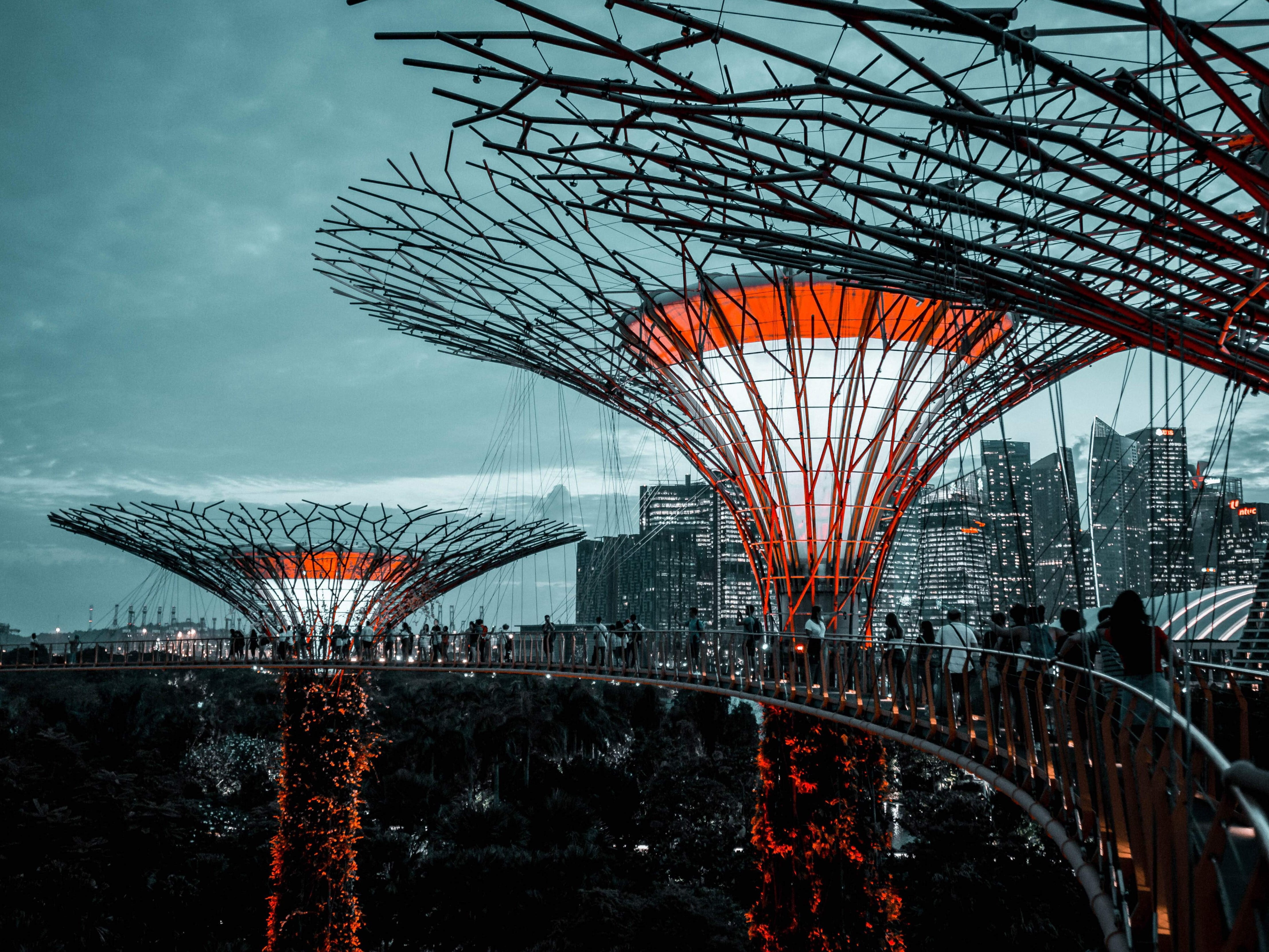 famous Place, travel Destinations, asia, energy, tourism, uSA, built Structure, downtown District, building, people, travel, urban Scene, city, super tree, HD Wallpaper