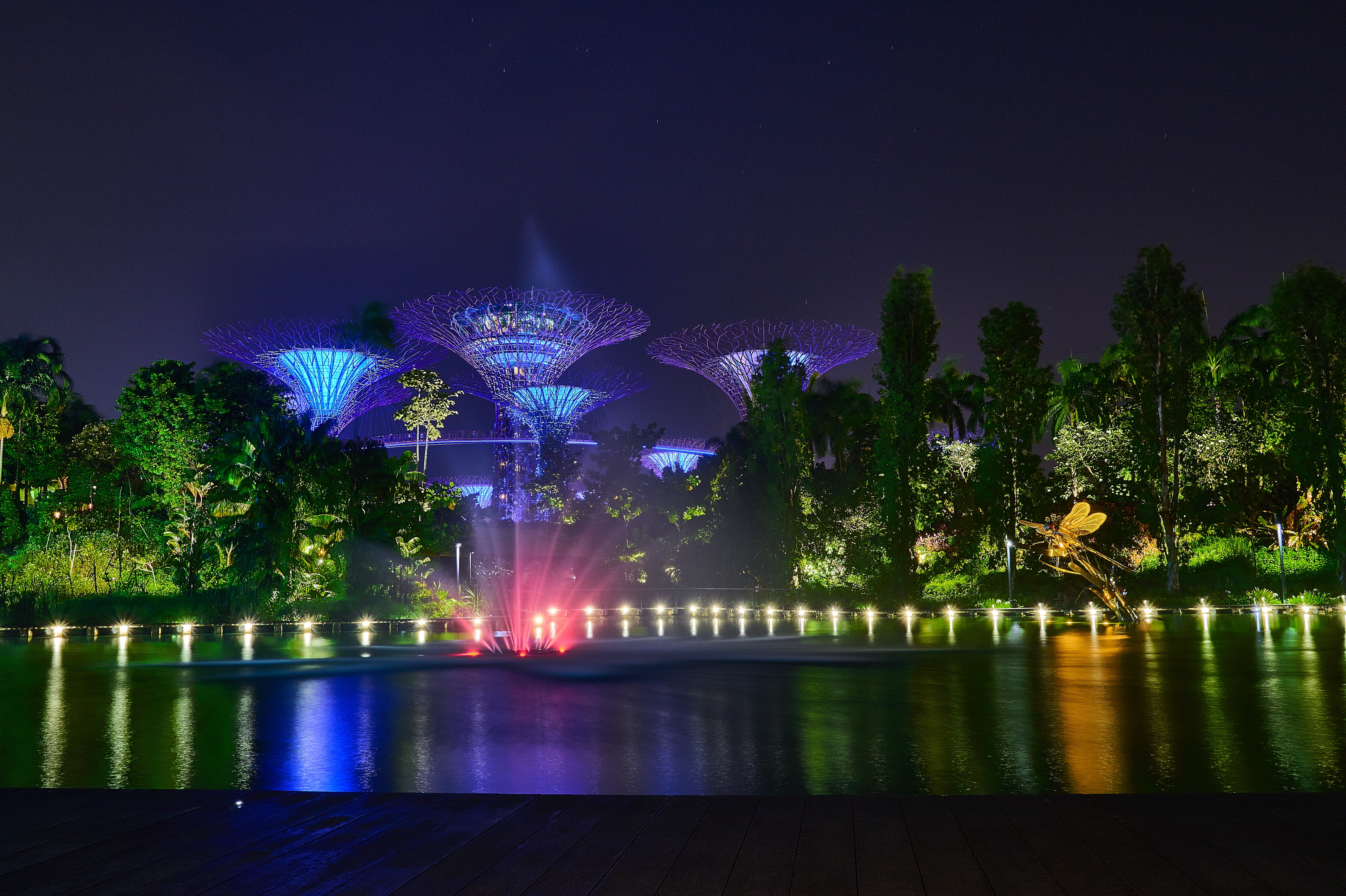 waterfront, built structure, nature, night, tree, amusement park, singapore, water, light, glowing, nightlife, purple, 5K, architecture, plant, bay, lake, HD Wallpaper