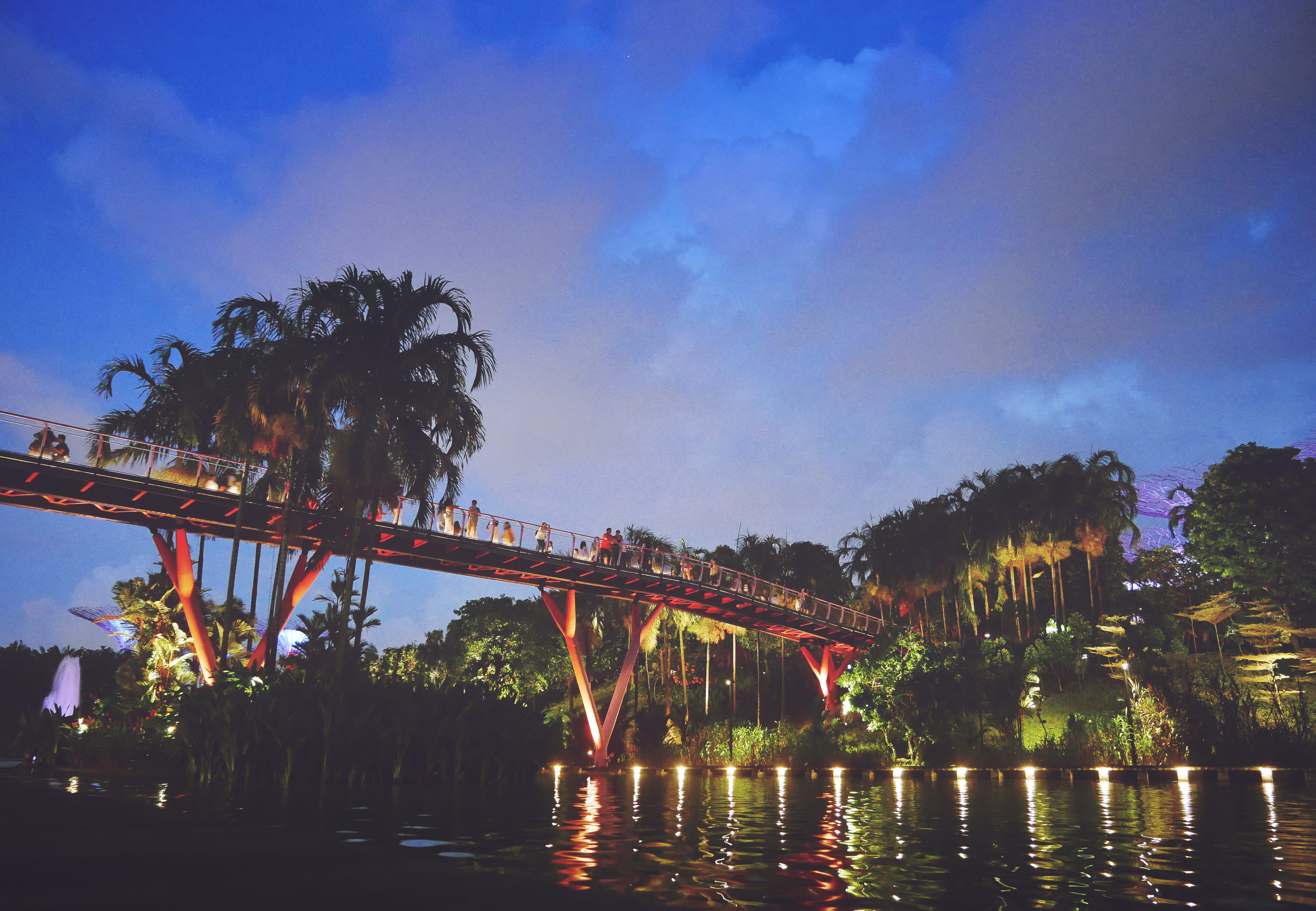 garden, bridge, reflection, 4K, built structure, dark, connection, dusk, illuminated, walking bridge, southeast asia, trees, river, no people, travel, HD Wallpaper