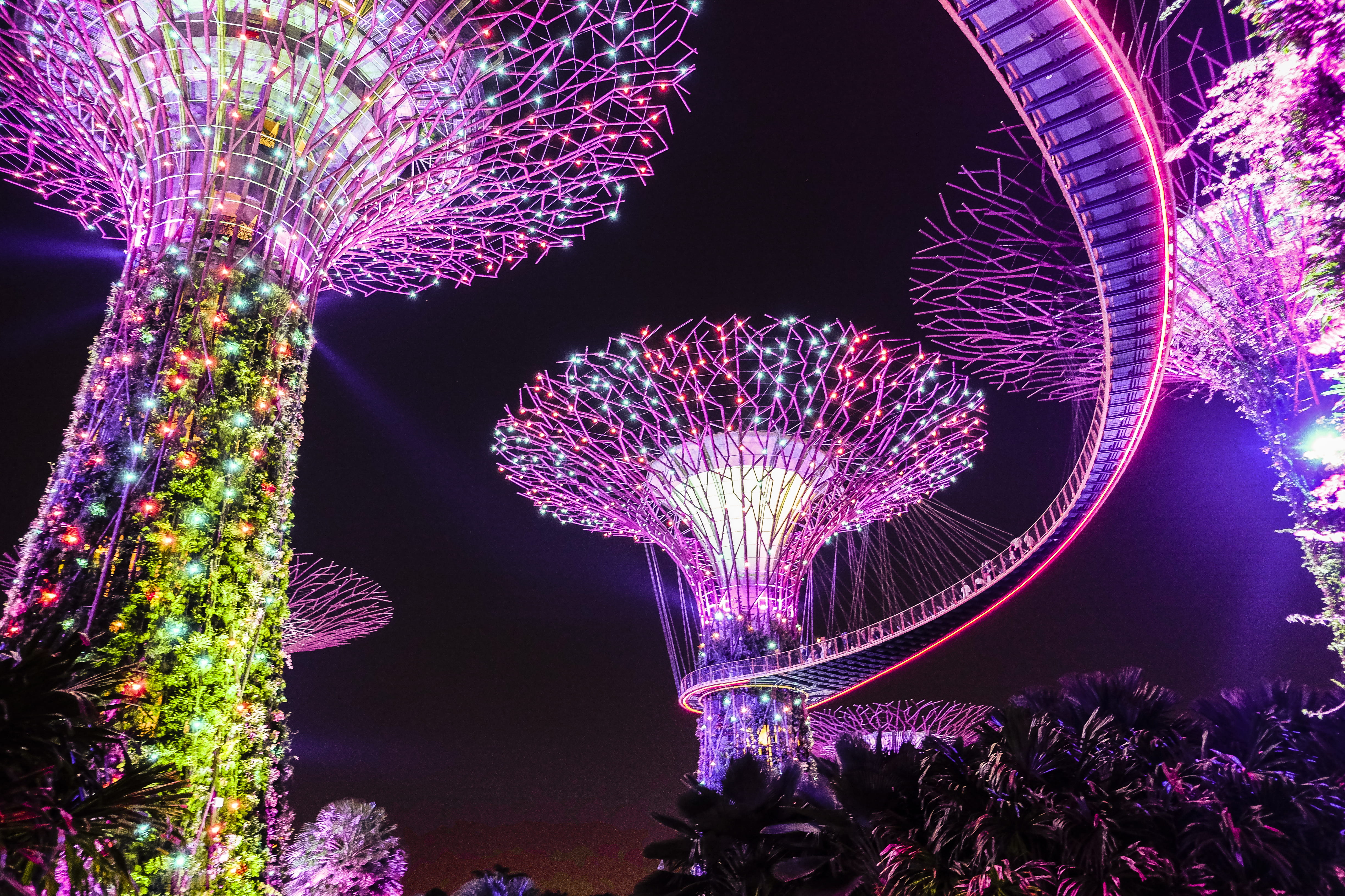decoration, long exposure, motion, plant, sands, light, multi colored, no people, purple, marina, event, night, illuminated, outdoors, celebration, neon, HD Wallpaper