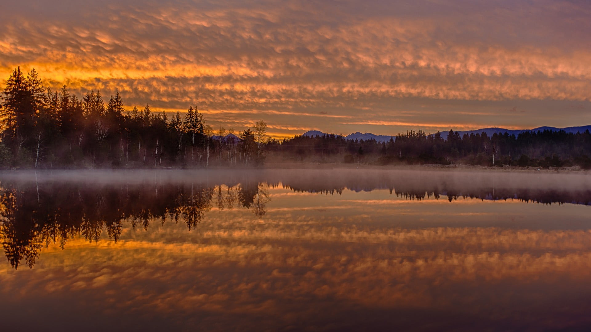 morning, clouds, tranquility, orange color, no people, reflection, sky, lake, reflection lake, panoramic, Germany, idyllic, photography, cloud - sky, landscape, HD Wallpaper