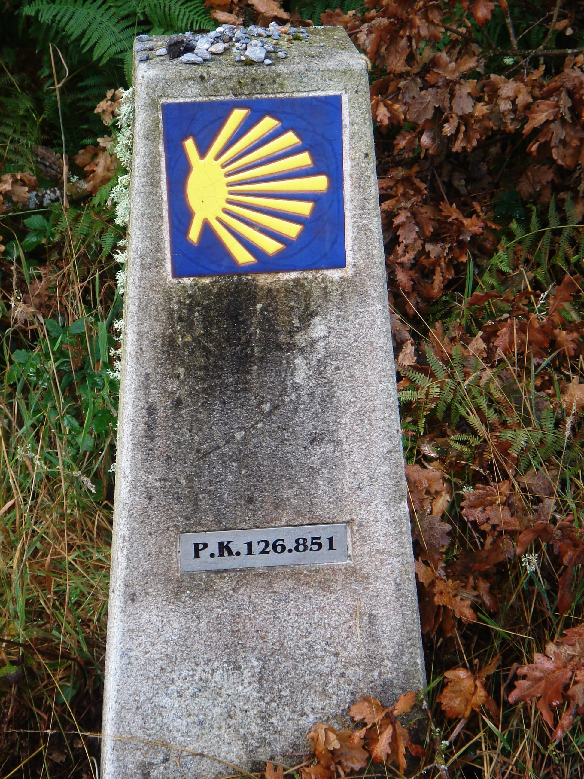 stone, symbol, spain, plant, landscape, galicia, nature, sign, communication, flag, shells, message, 2K, tourism, day, guidance, field, high angle view, Phone HD Wallpaper